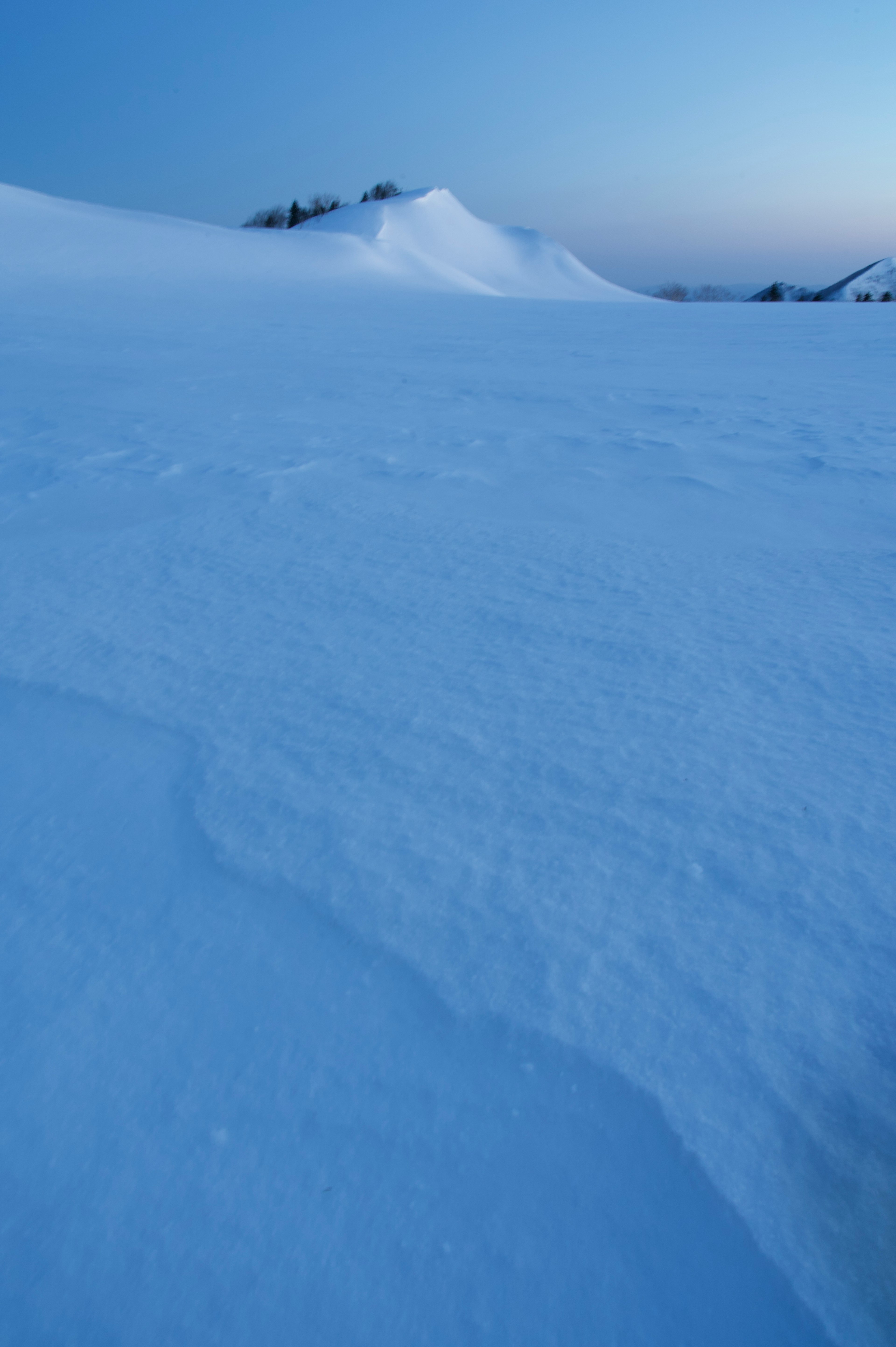 雪に覆われた風景の静かな青いトーン