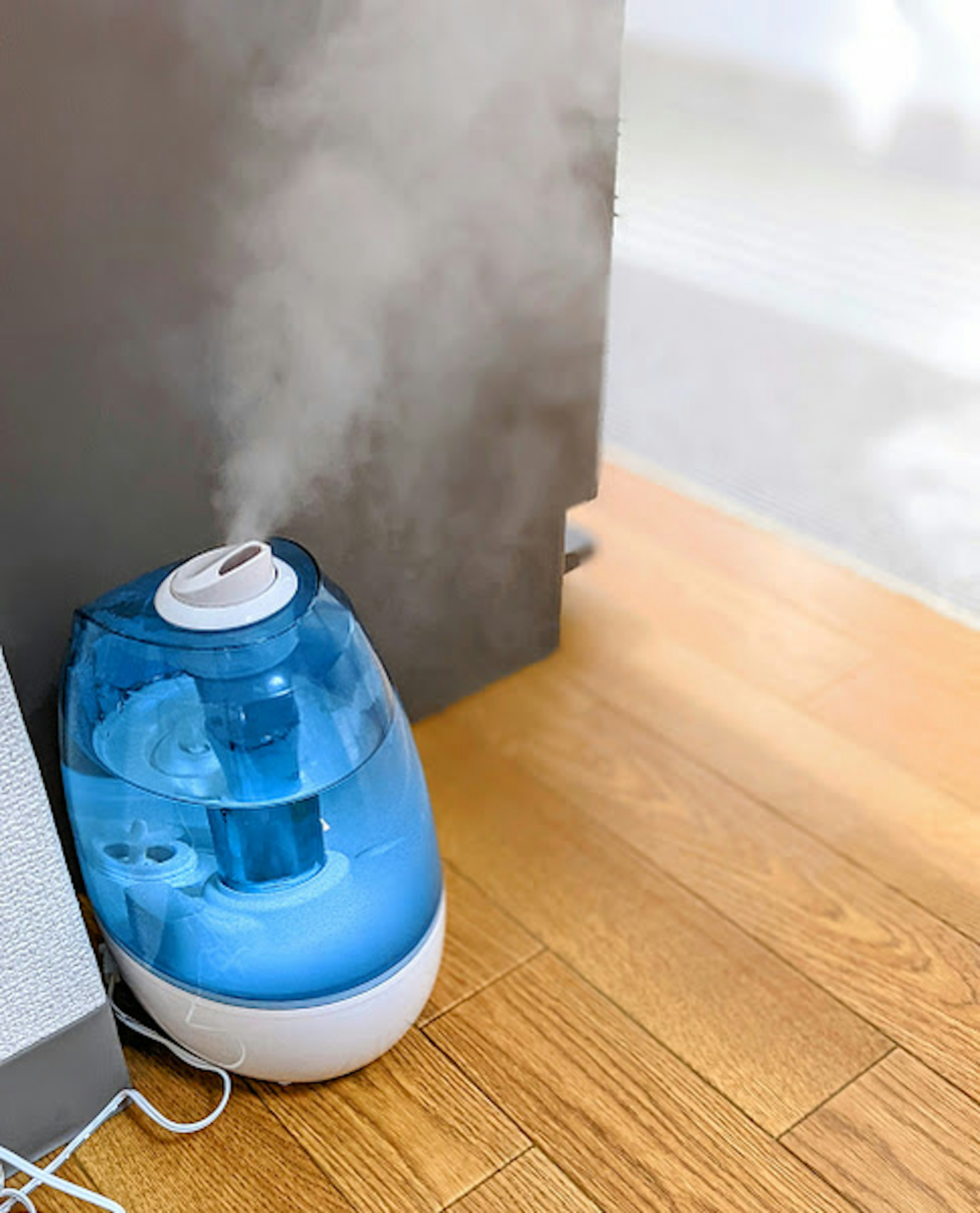 Sebuah humidifier biru yang diletakkan di sudut ruangan mengeluarkan uap di atas lantai kayu