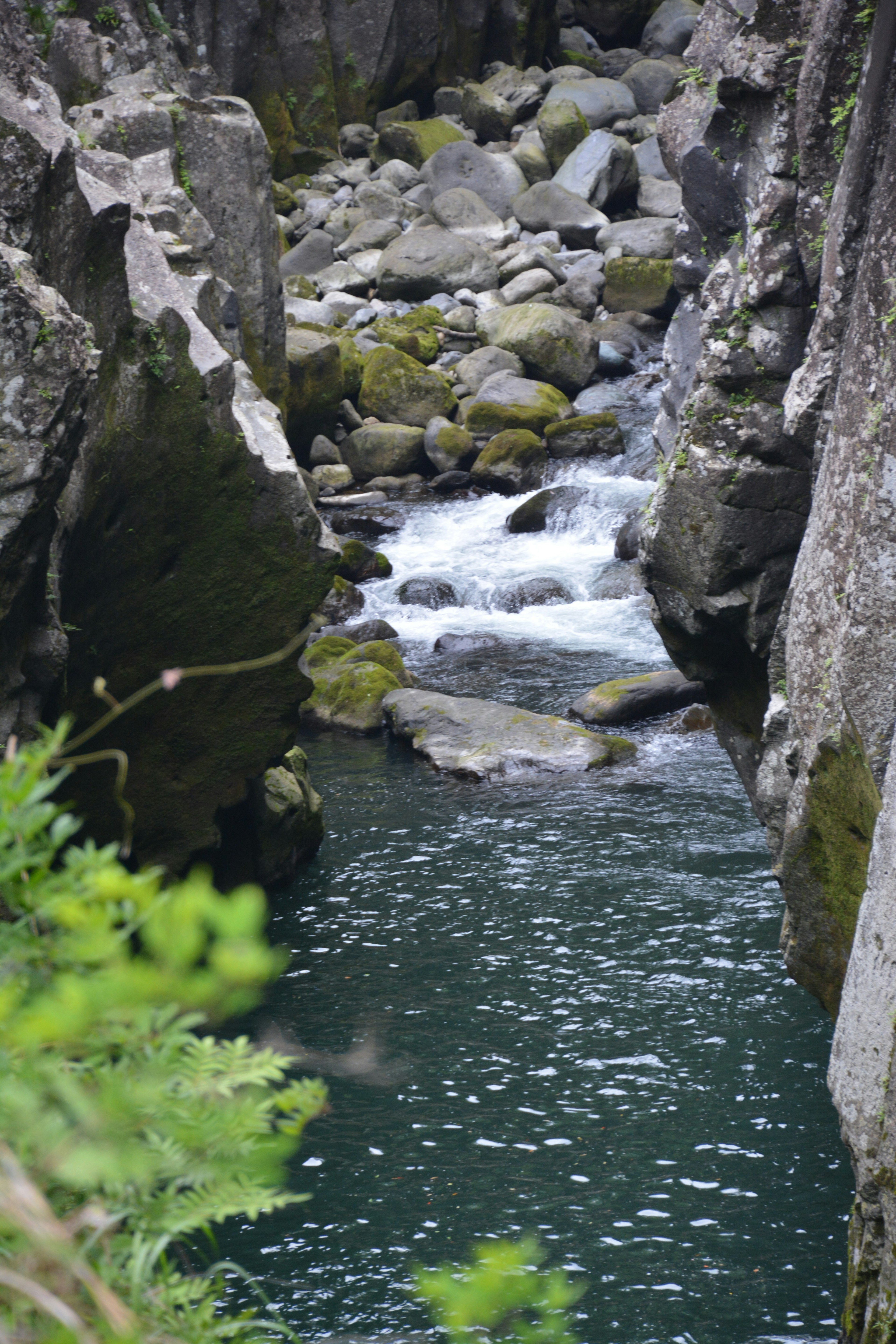 Una vista panoramica di un torrente che scorre tra scogliere rocciose con vegetazione verde