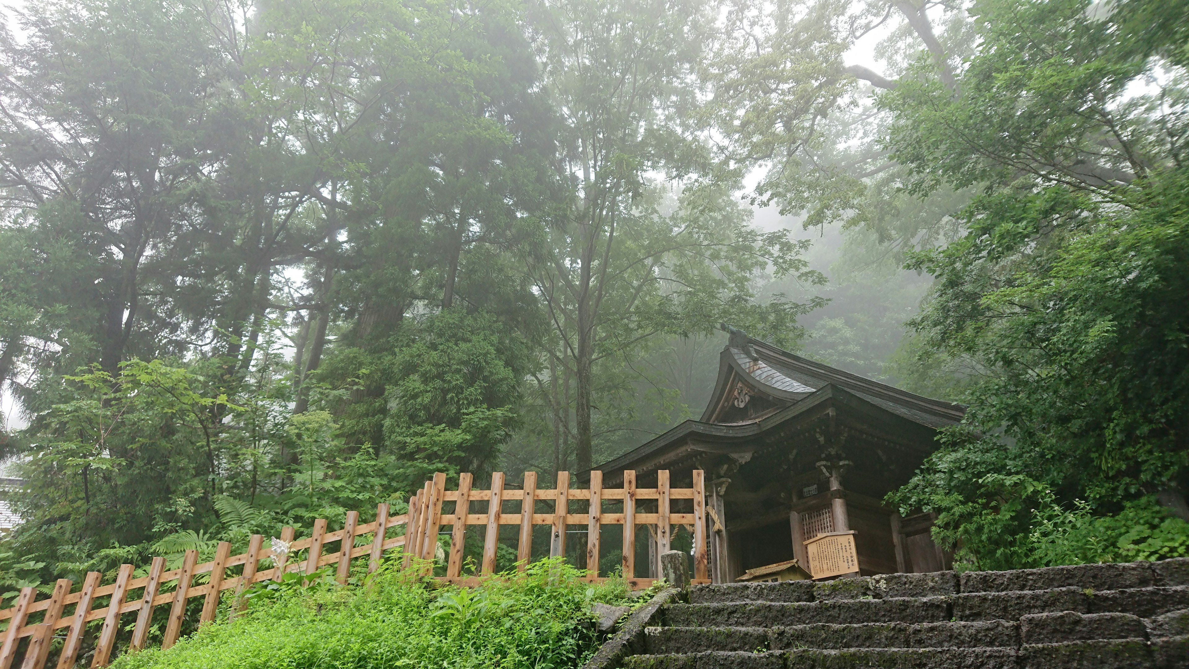 被雾气笼罩的森林中的古老神社入口，石阶和木栅栏