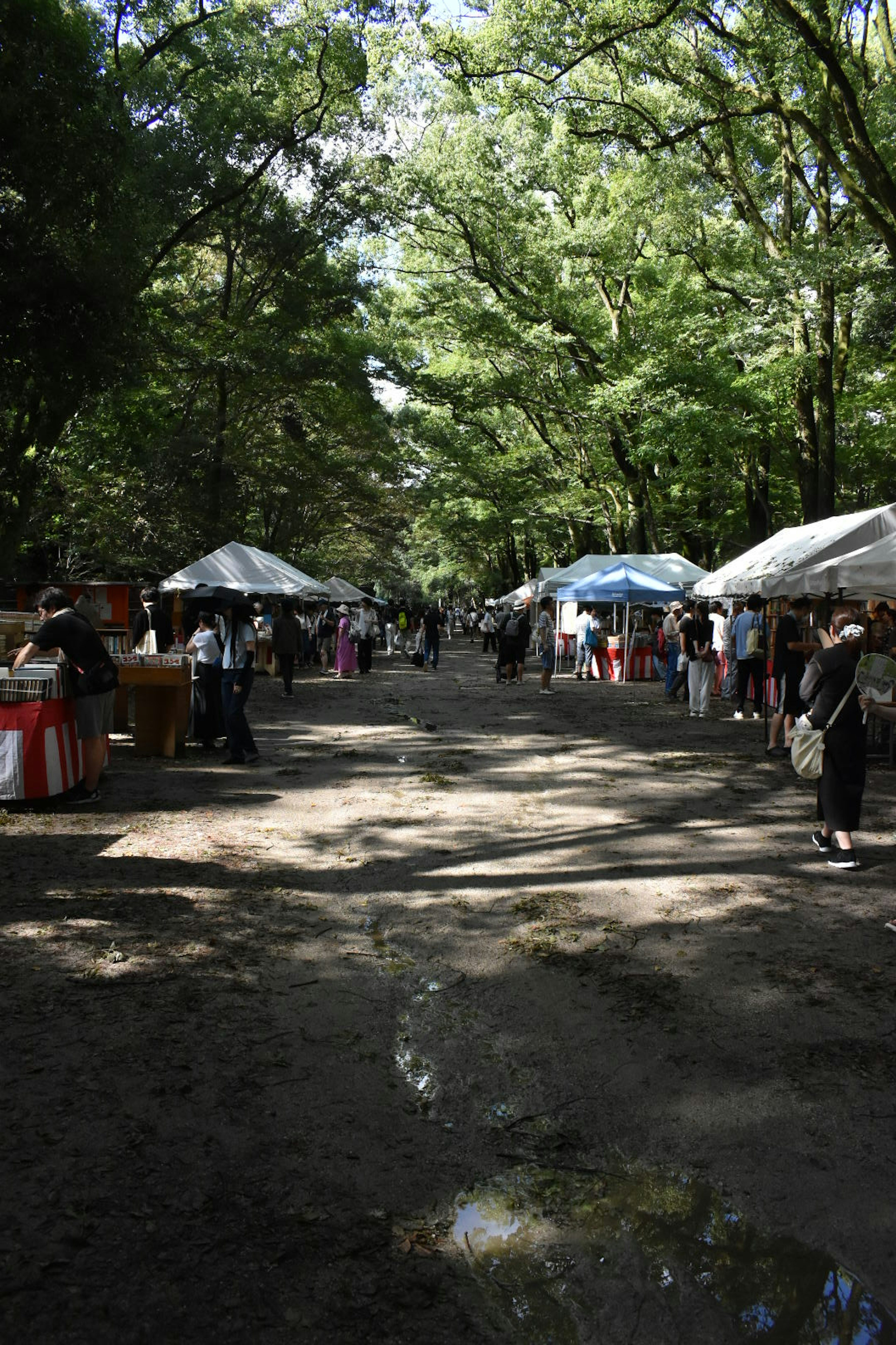 緑の木々に囲まれた屋外市場の通りにテントと訪問者が並んでいる