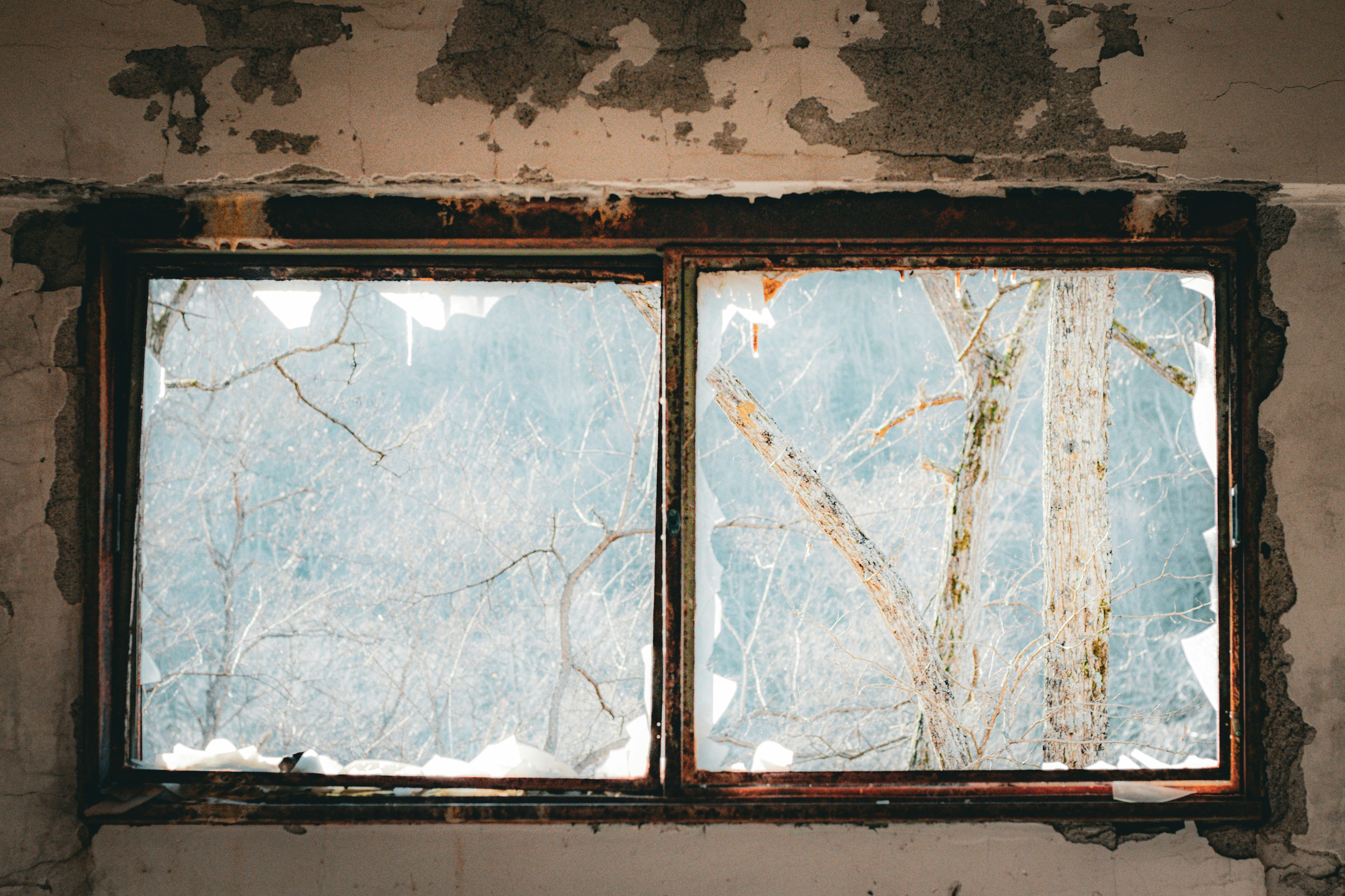 Marco de ventana viejo con pared pelada que revela cielo azul y ramas de árbol