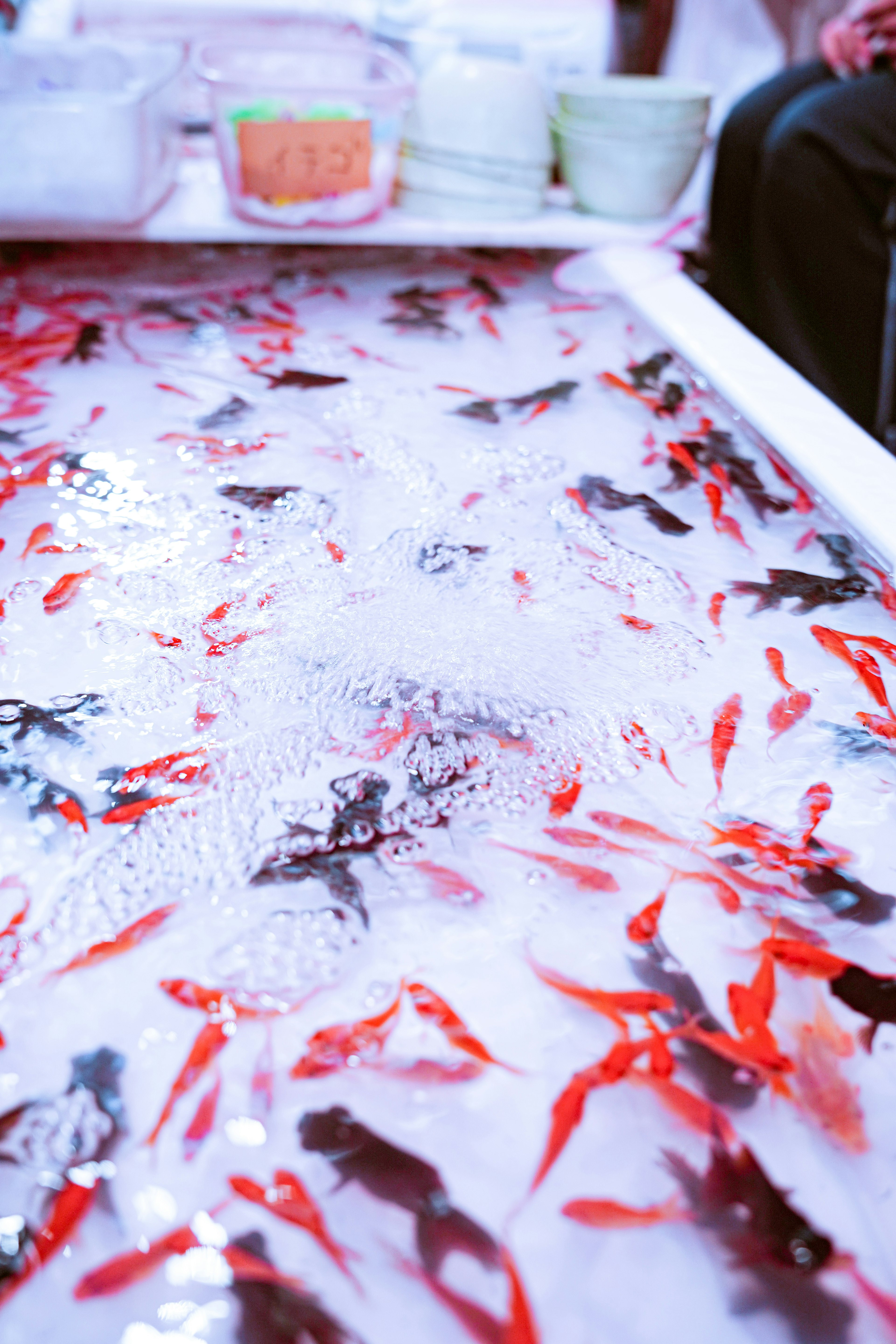 Ein schöner Tisch mit schwimmenden roten und schwarzen Goldfischen in einem Tank