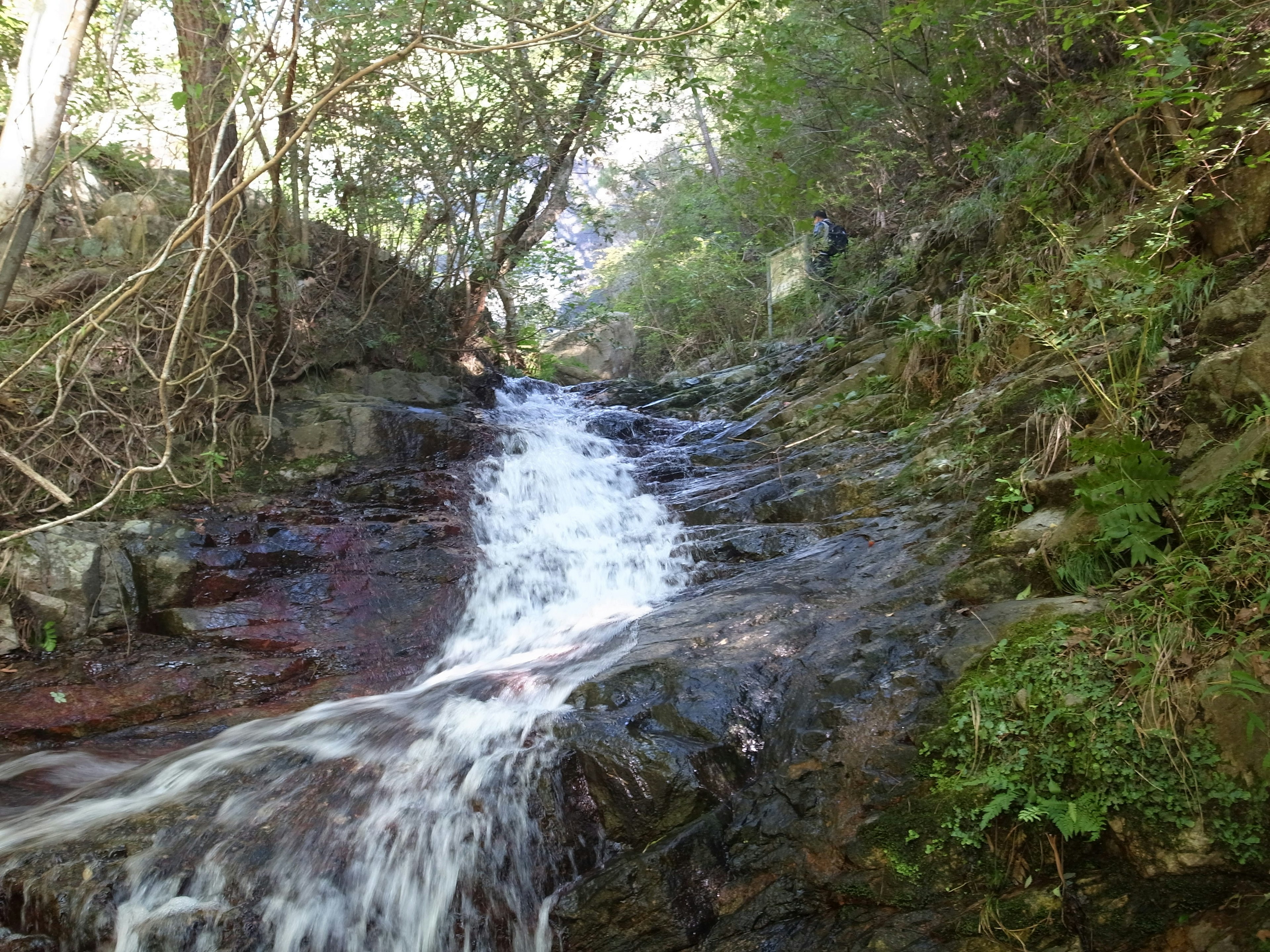 Un ruisseau pittoresque coulant sur des rochers entouré de verdure