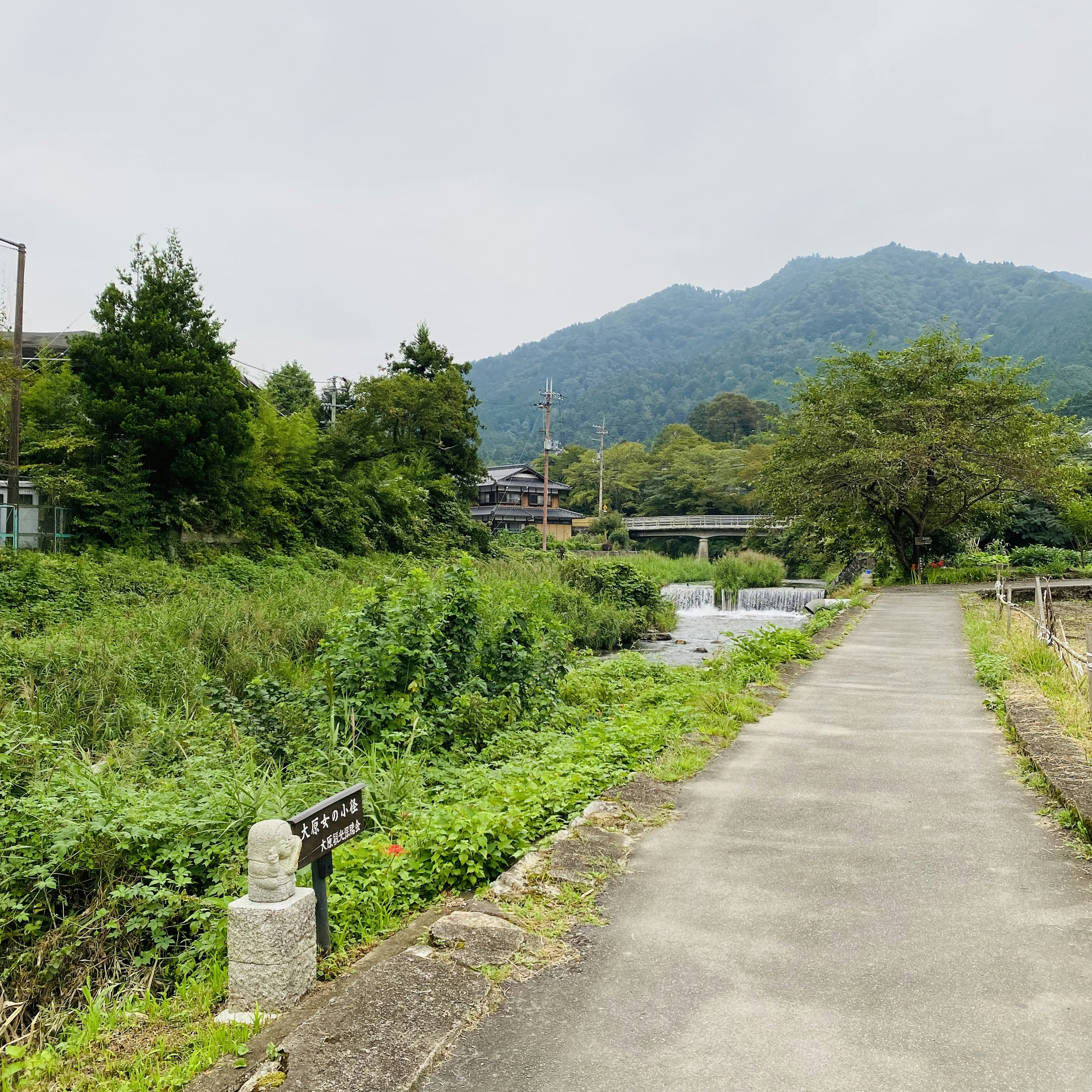 緑豊かな風景の小道と川が流れる田舎の風景