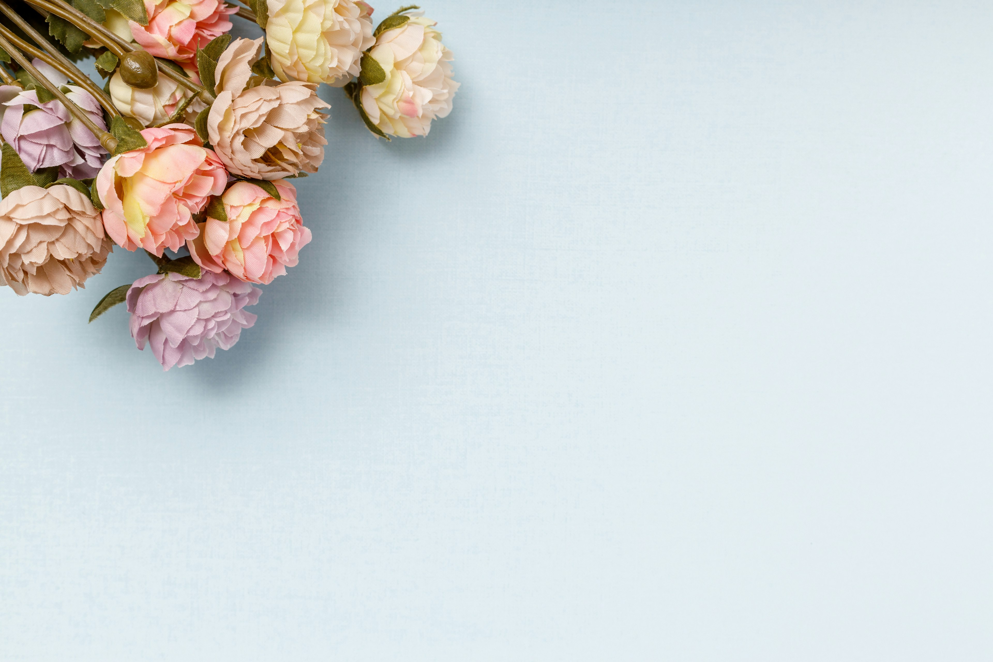 A bouquet of pink and cream flowers on a soft blue background