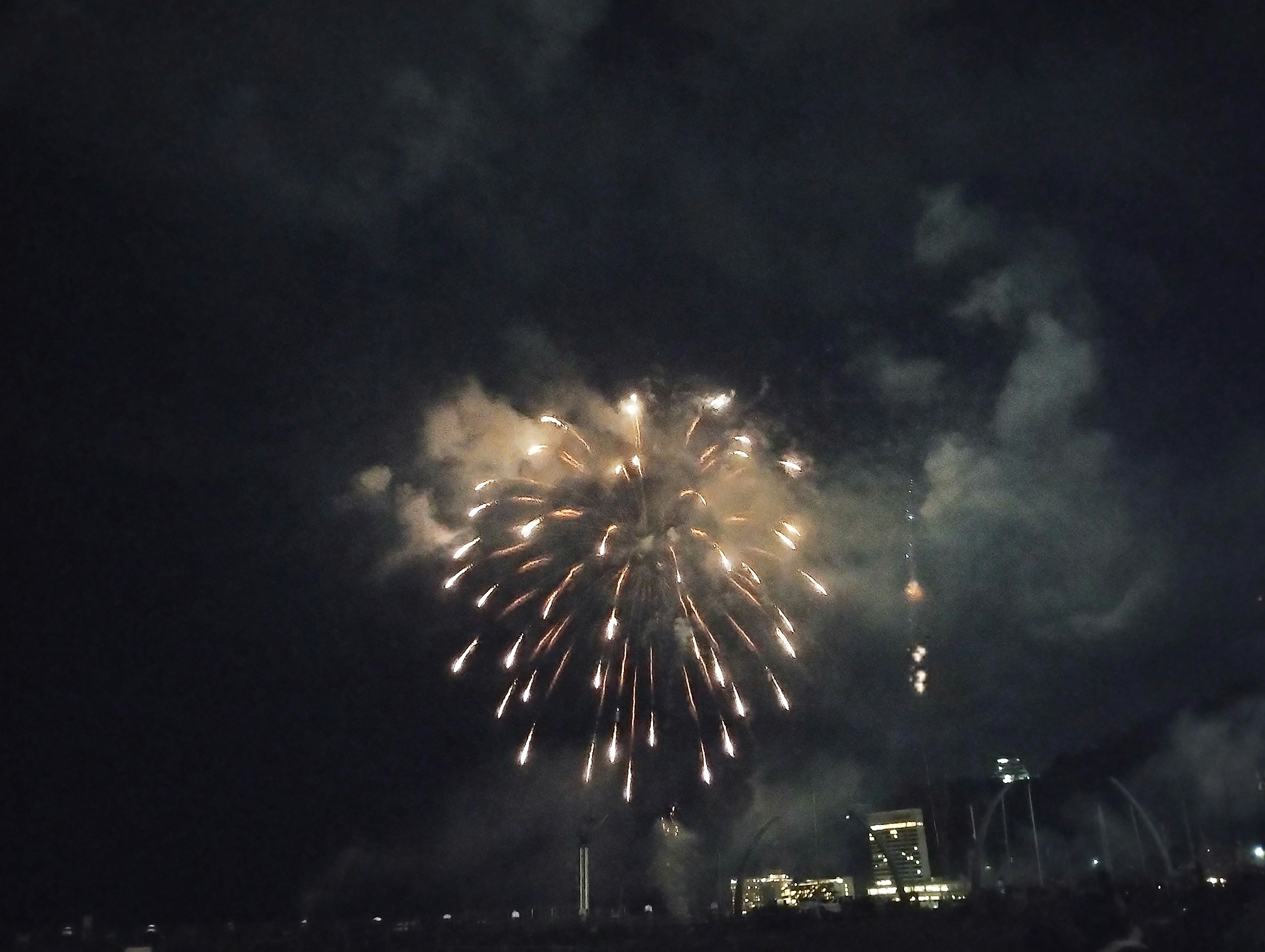 Fuochi d'artificio che illuminano il cielo scuro di notte