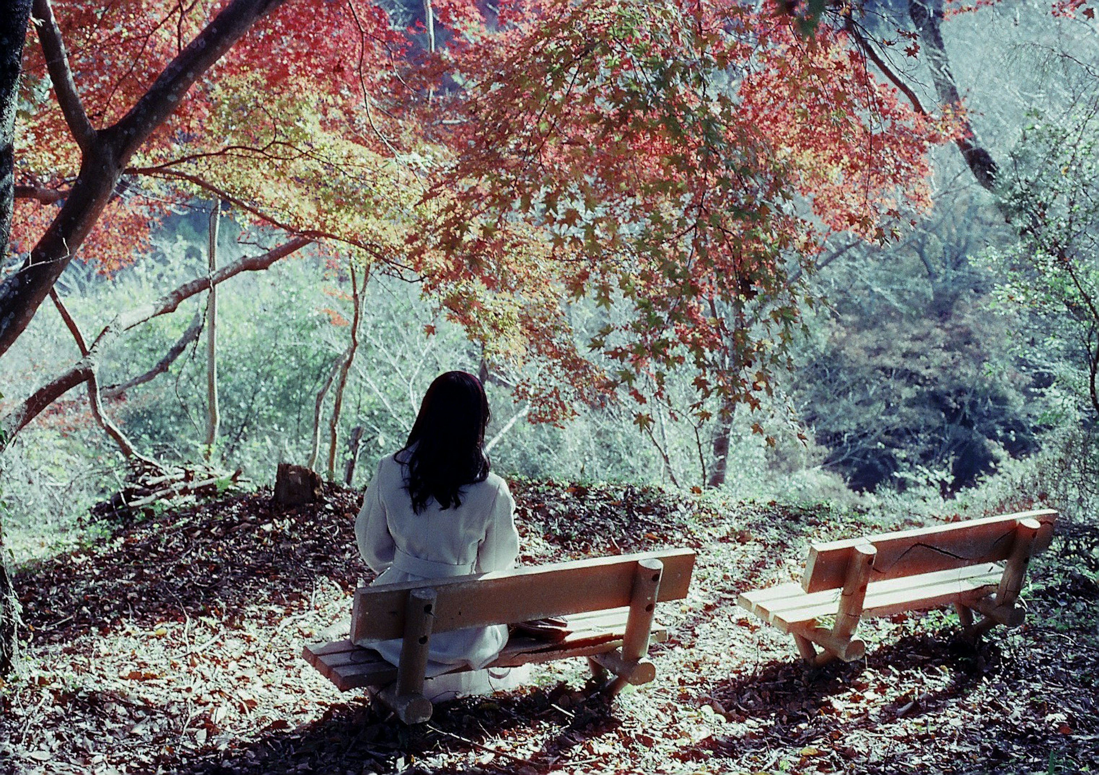 A woman sitting on a bench under colorful autumn trees