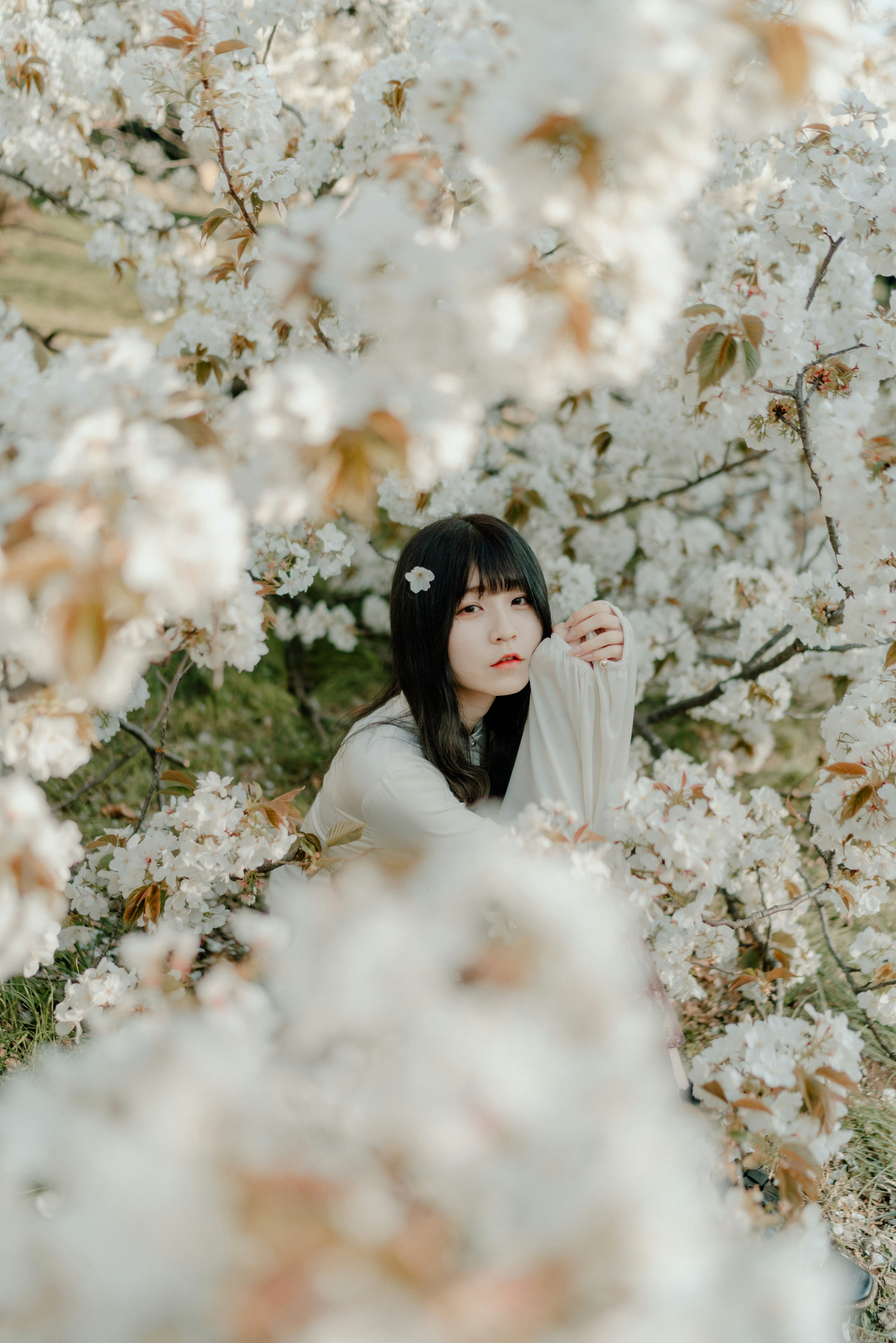 Portrait d'une femme entourée de fleurs blanches