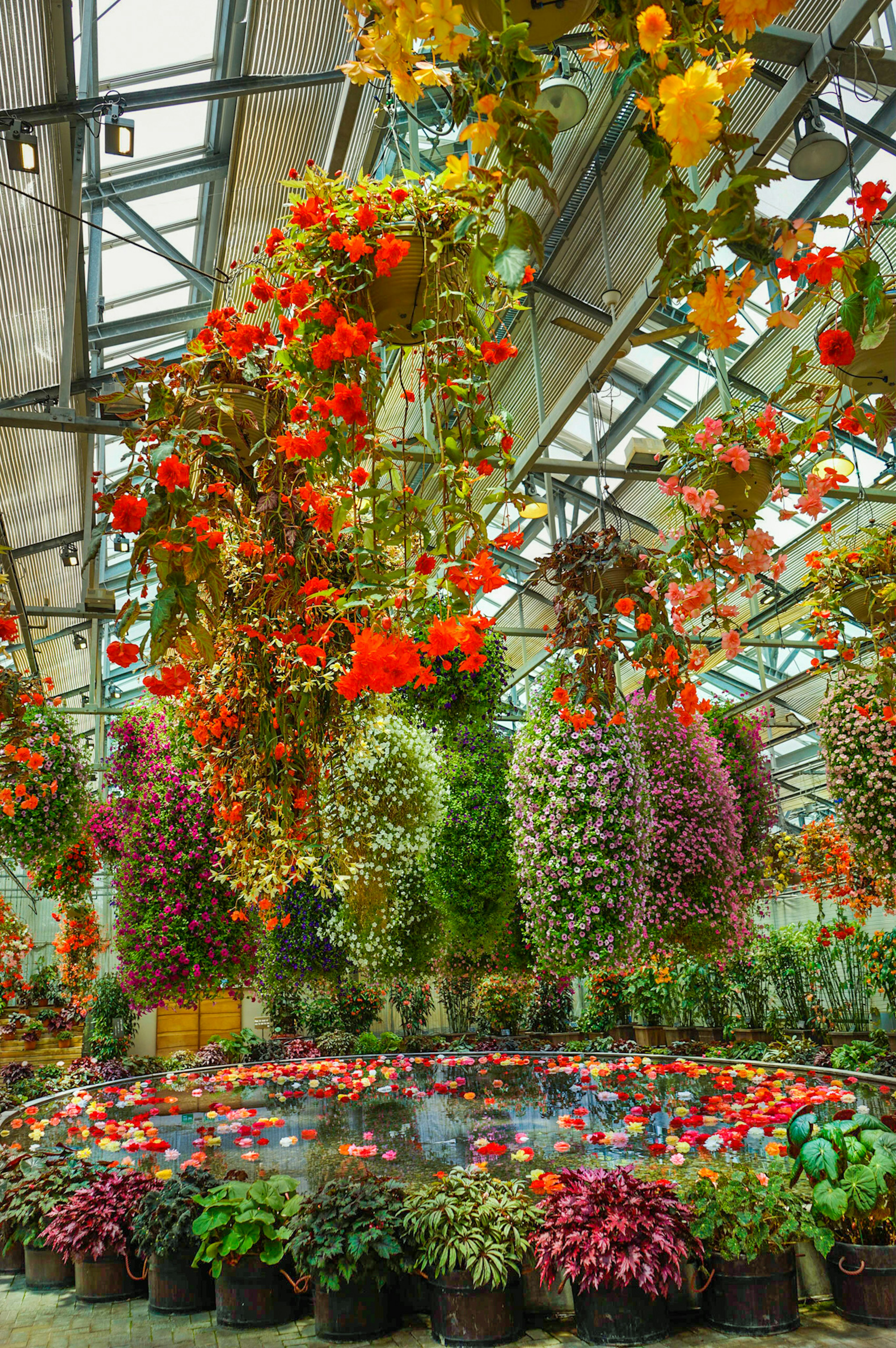 Intérieur d'une serre rempli de fleurs suspendues vibrantes