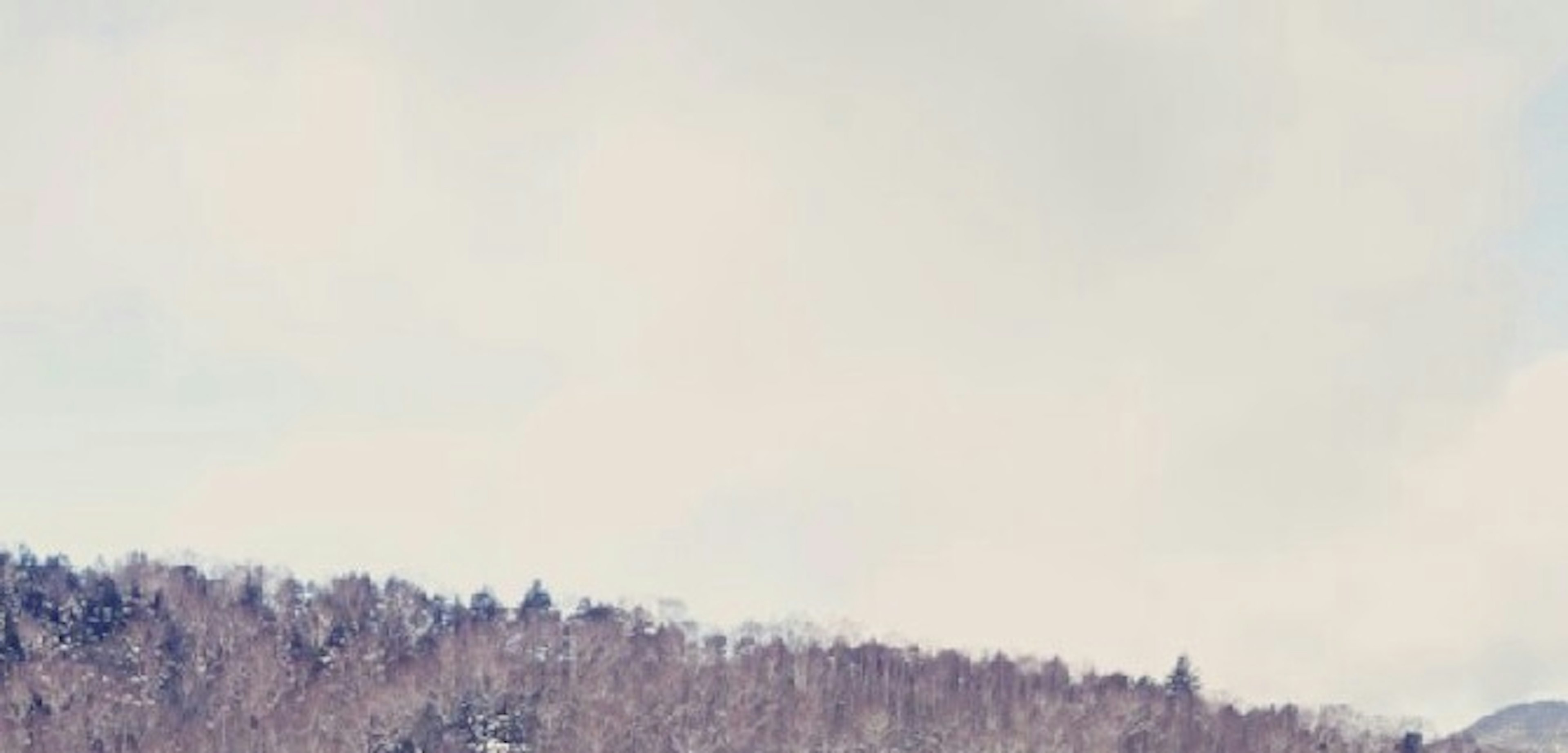 Schneebedeckte Berglandschaft mit einem blassen Himmel