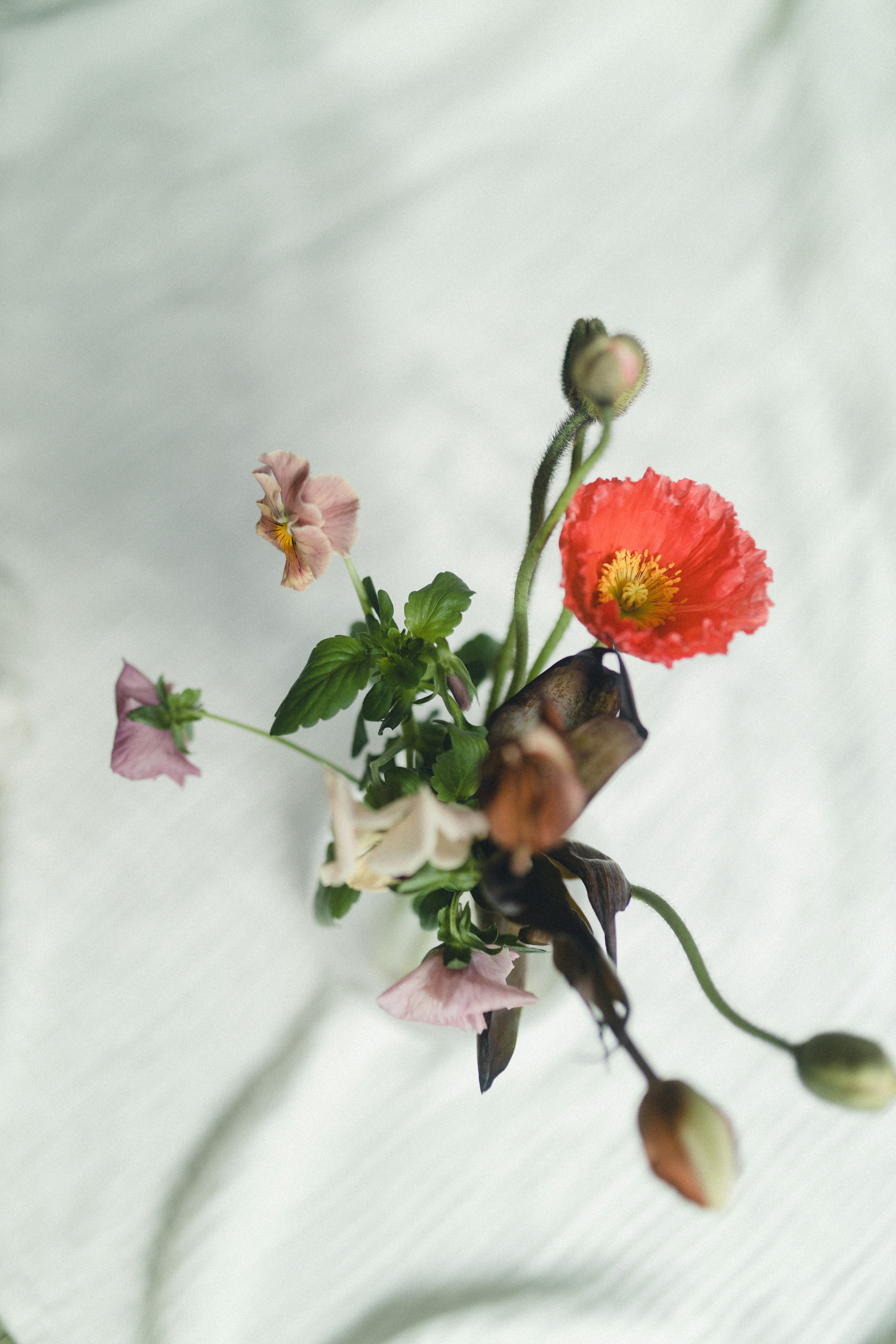 Top view of a vase with a red poppy and various colorful flowers