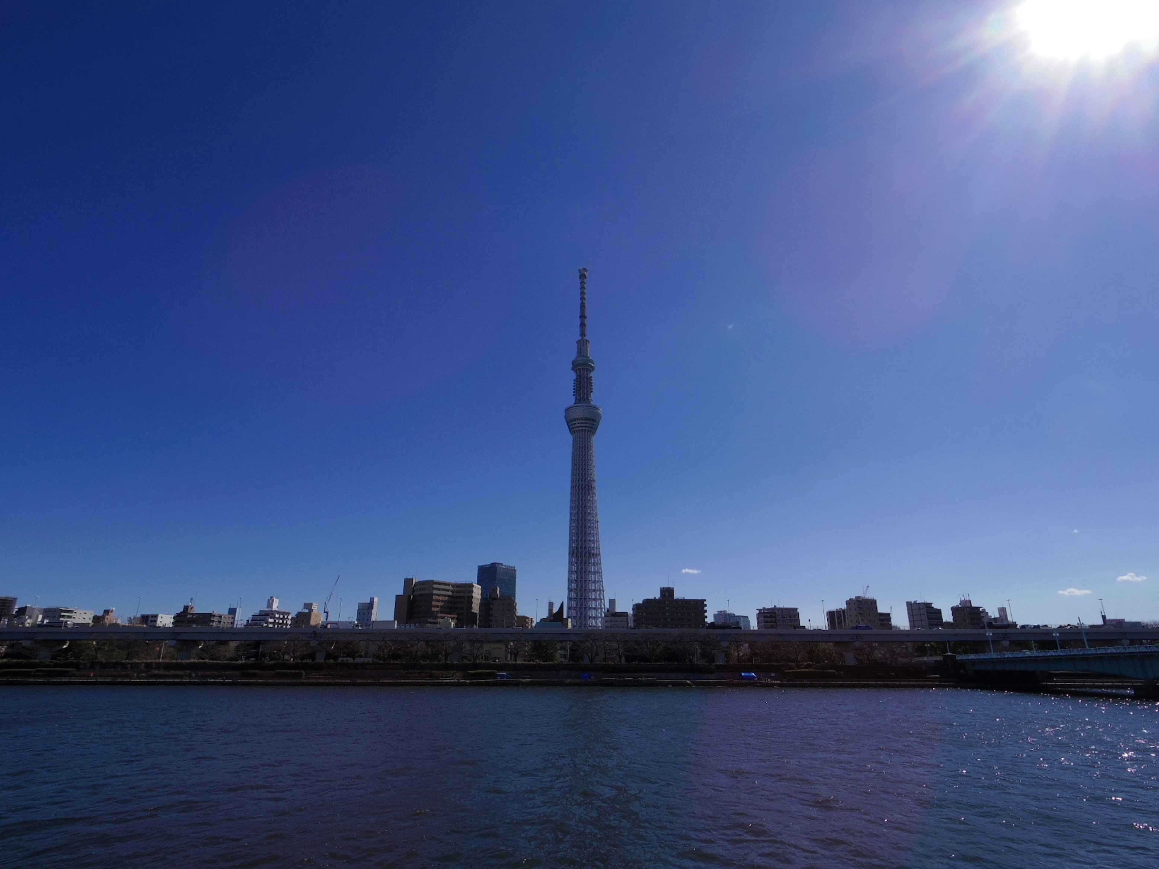 東京スカイツリーが青空の下にそびえ立つ風景