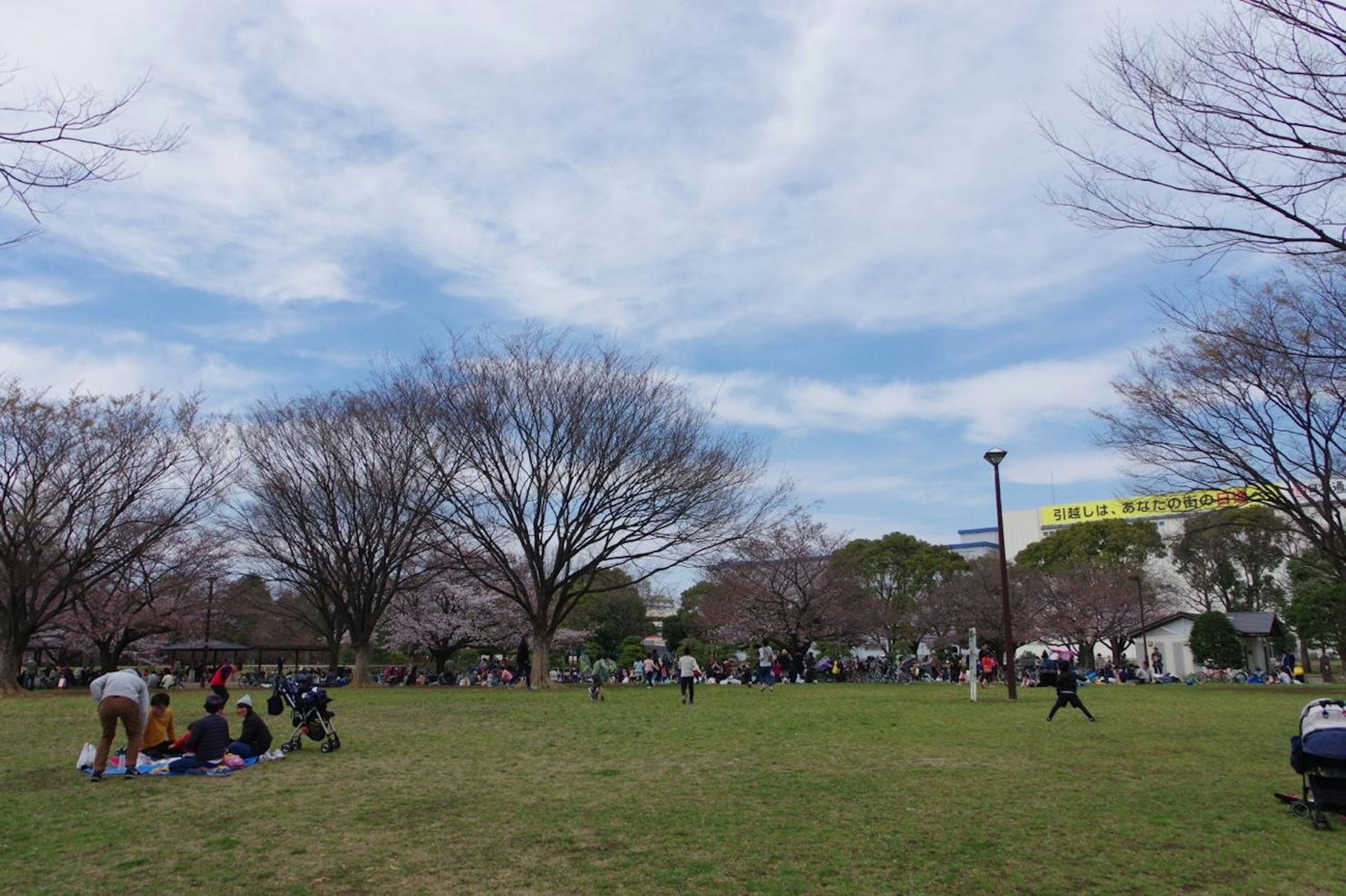 Persone che godono di un picnic in un ampio parco con alberi spogli e cielo nuvoloso