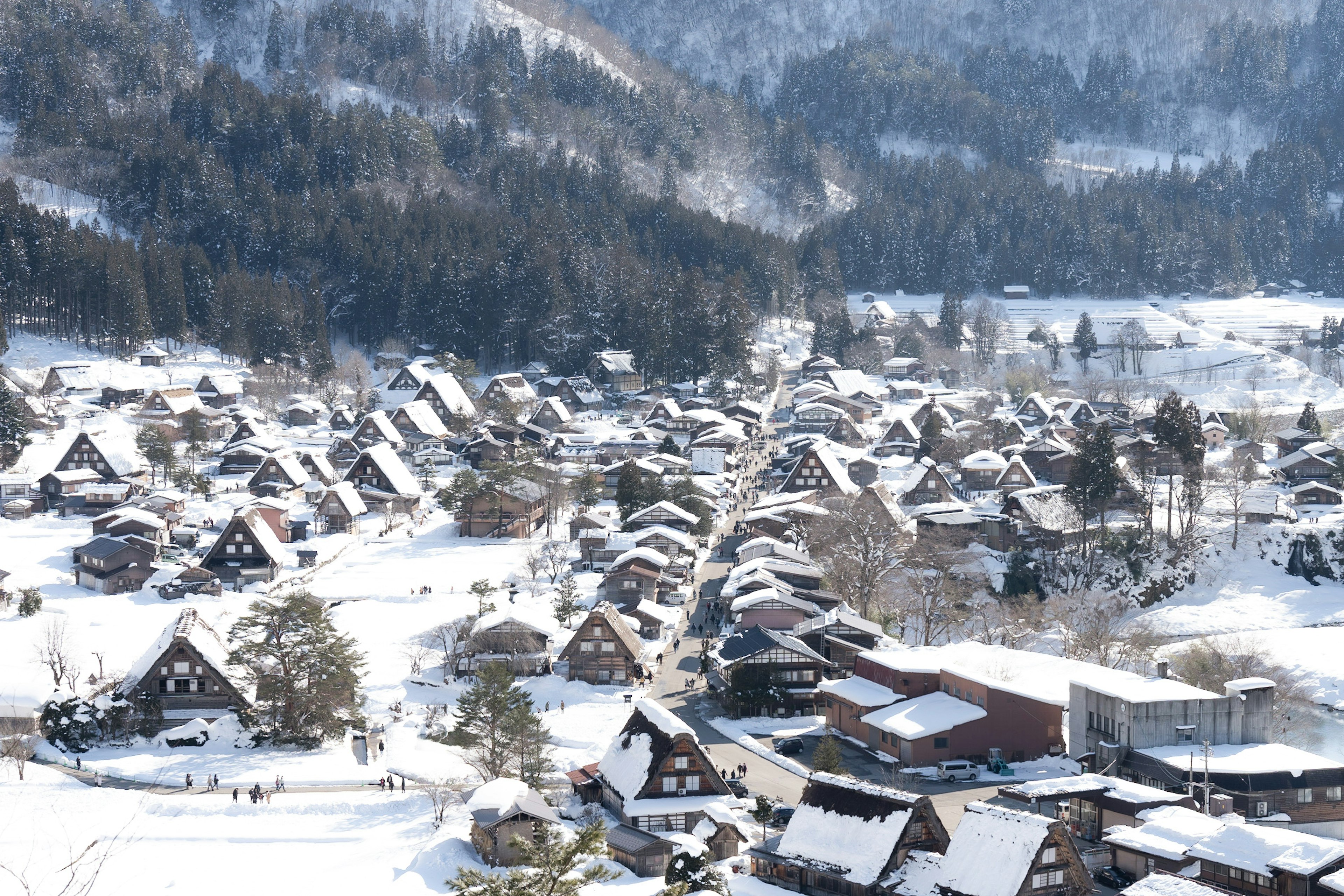 美麗的雪覆蓋的合掌造村景觀