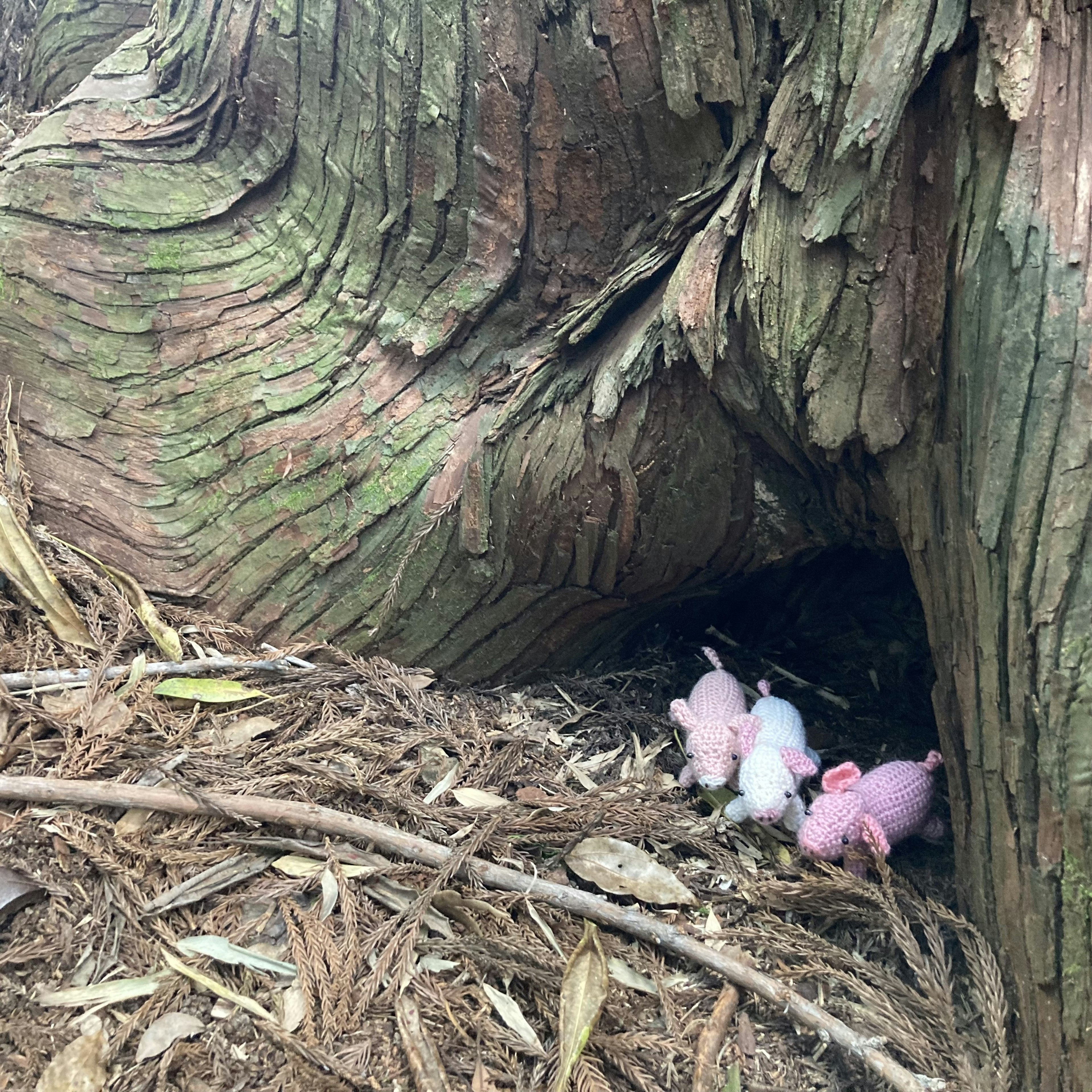 Un grupo de pequeños cerdos rosados escondidos en la base de un gran árbol