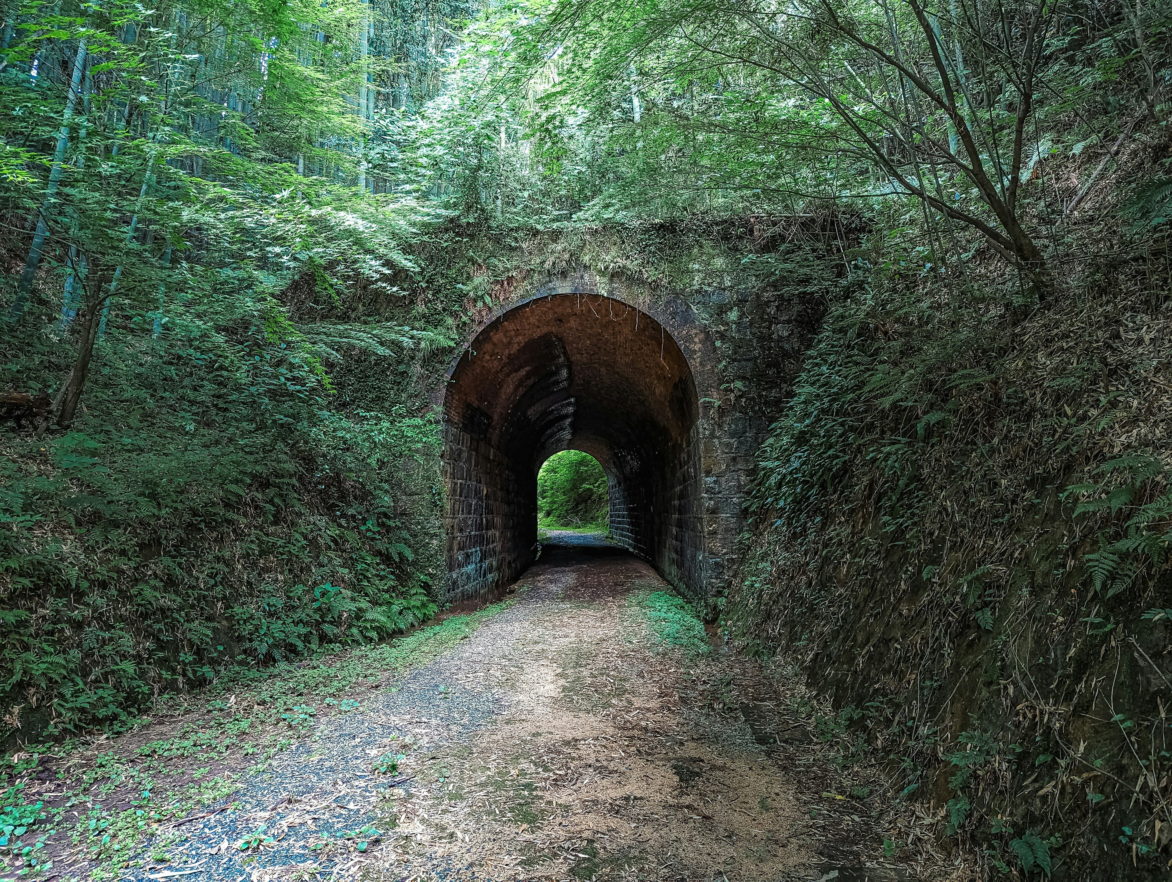 Antigua entrada de túnel rodeada de vegetación con luz visible a lo lejos