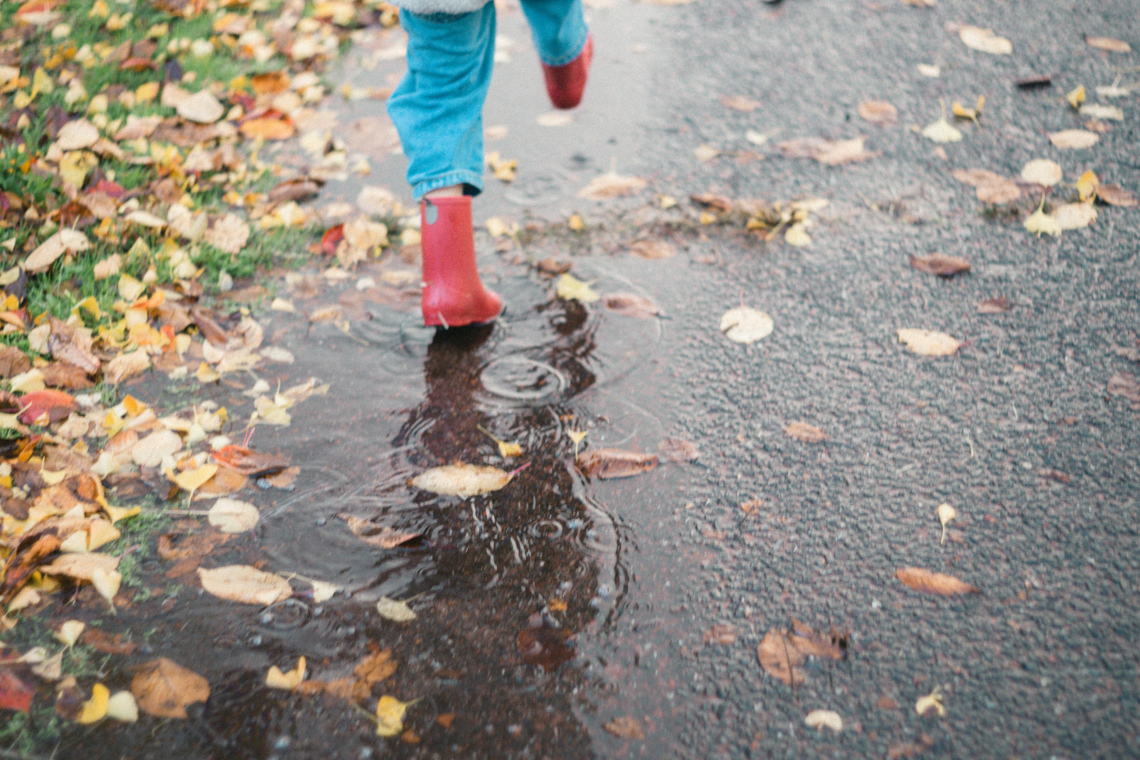 穿著紅色雨靴的孩子在秋天的雨天走過水坑