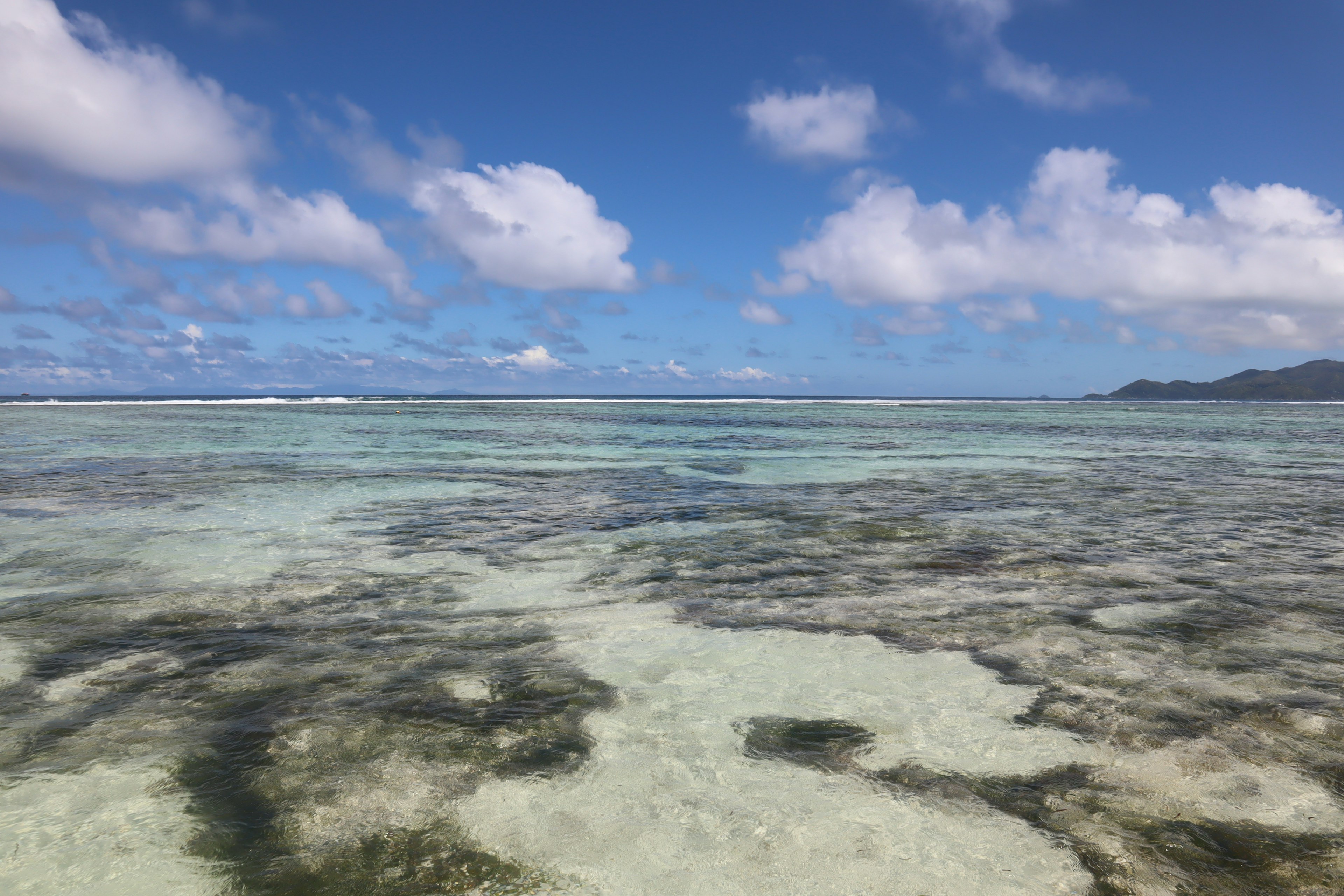 Scenic view of clear ocean water under a blue sky with visible coral reefs