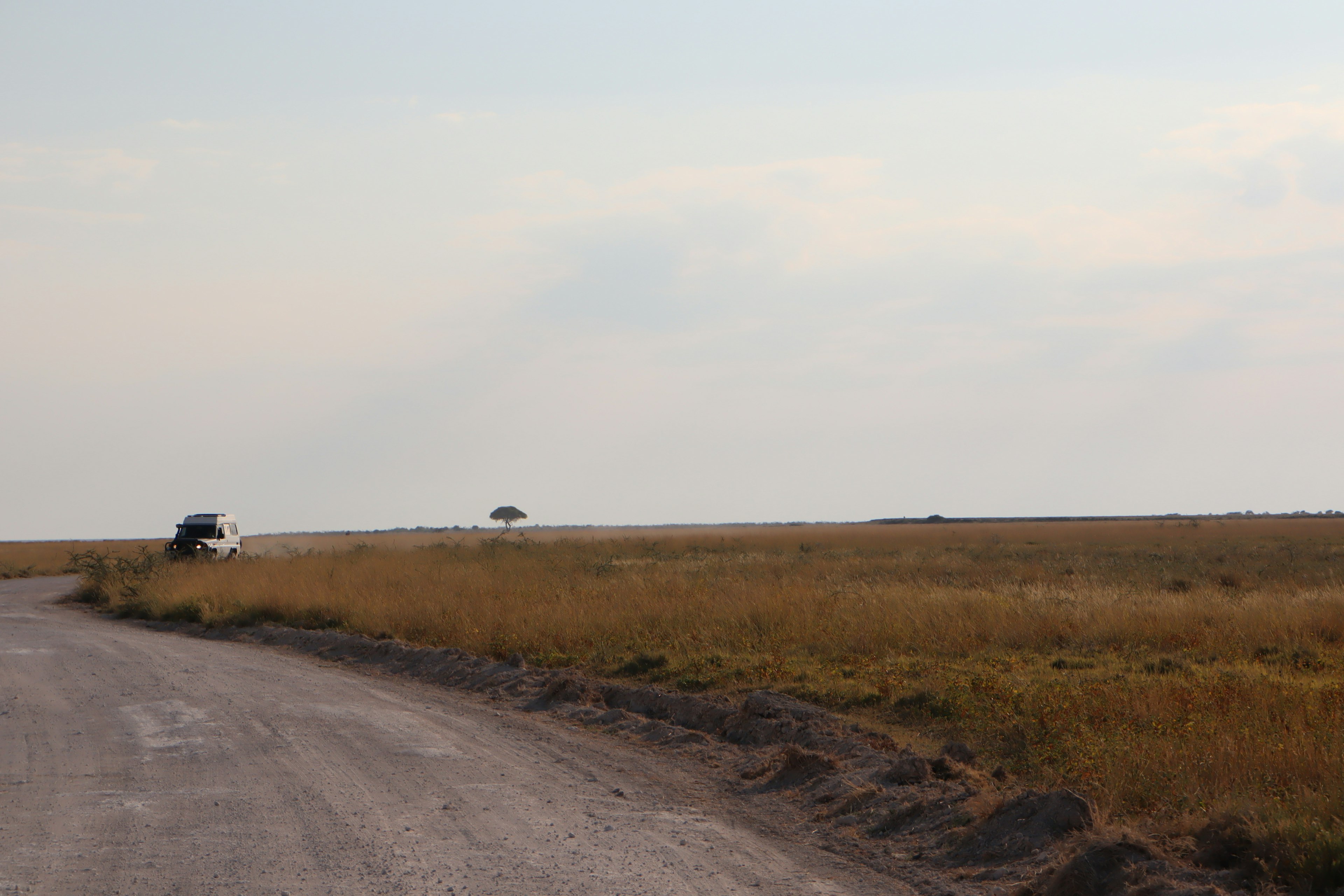 A dry grassland landscape with distant vehicles