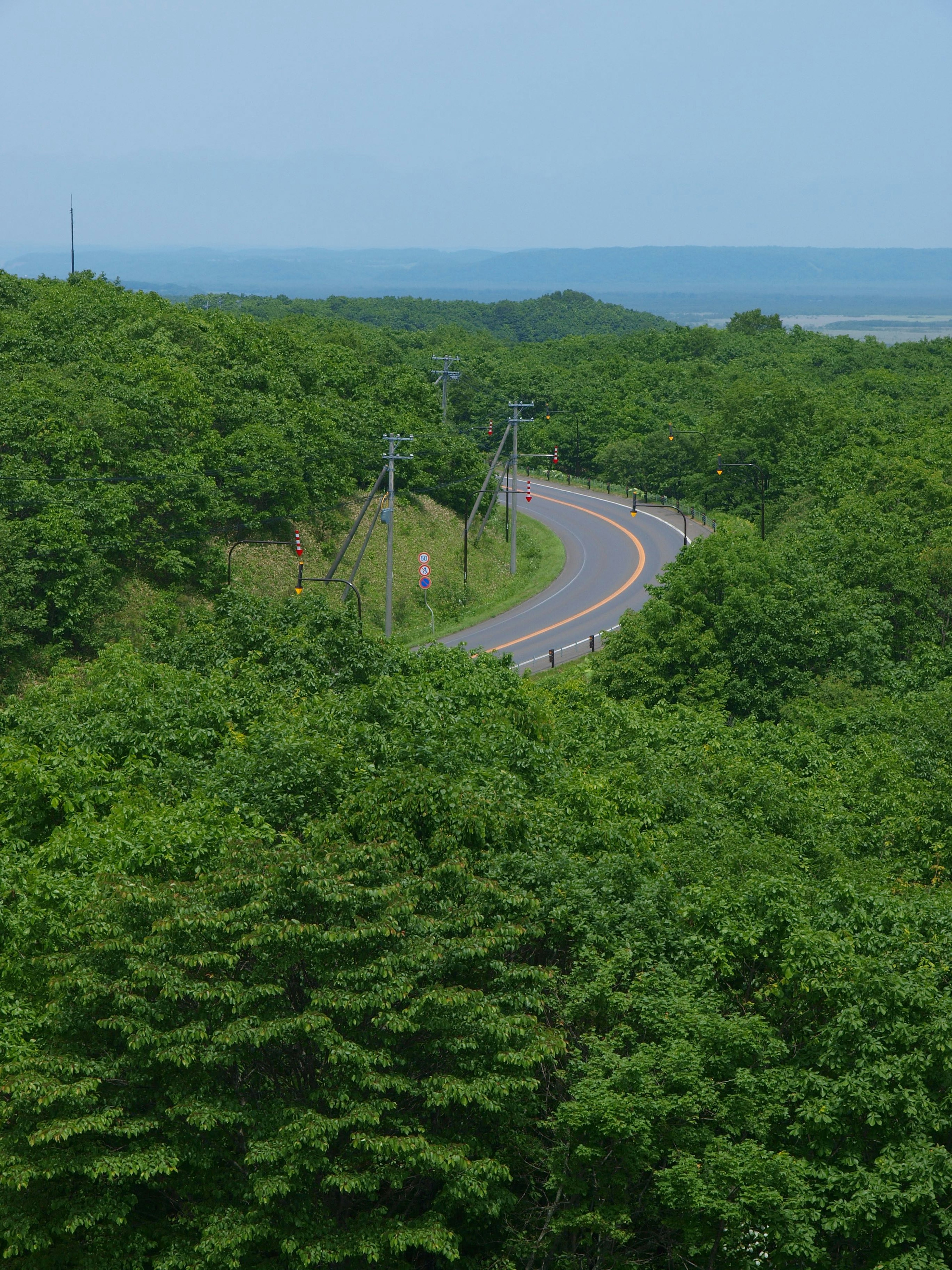 緑に囲まれた曲がりくねった道路と遠くに海が見える風景