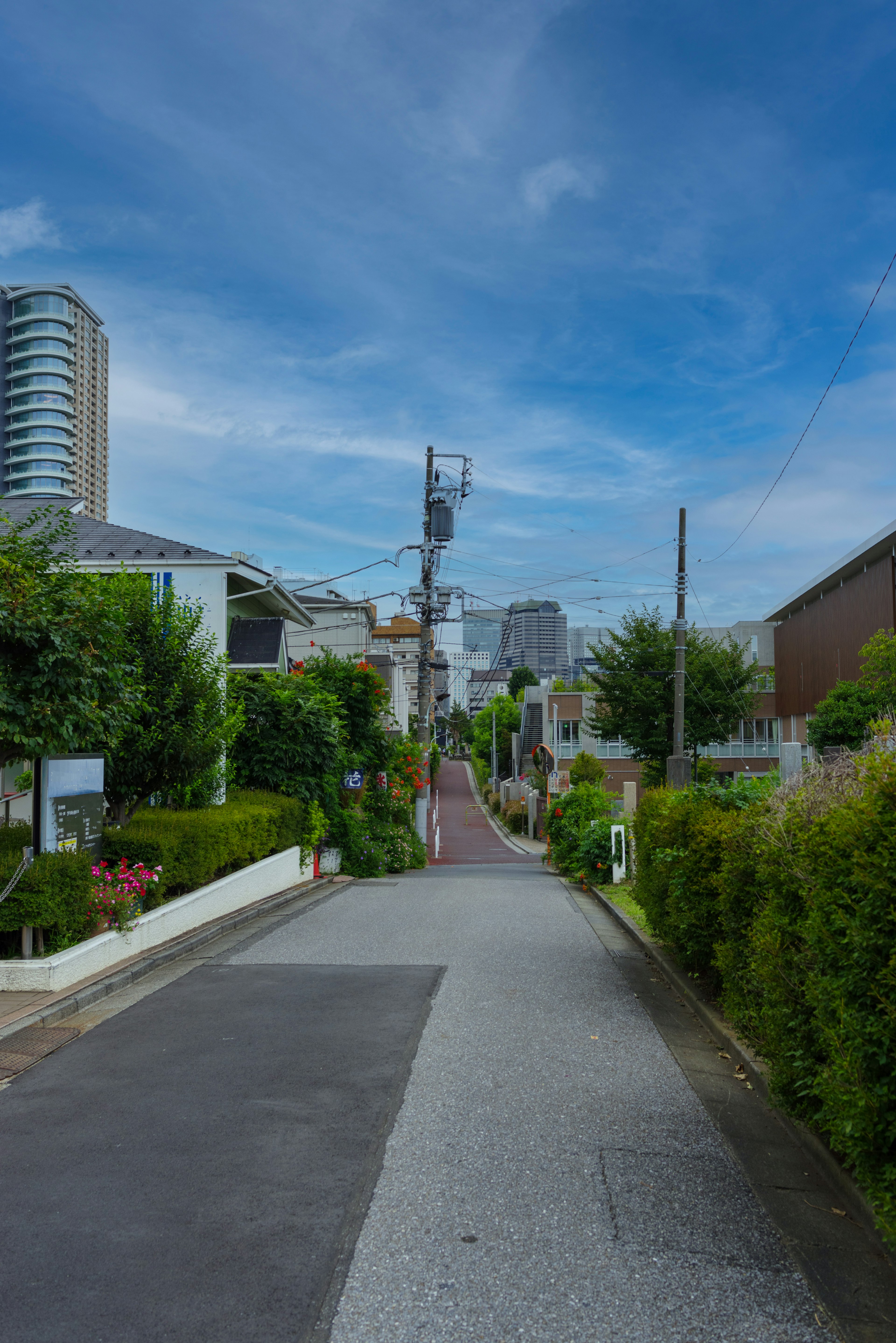 Ruhige Straße unter blauem Himmel mit üppigem Grün