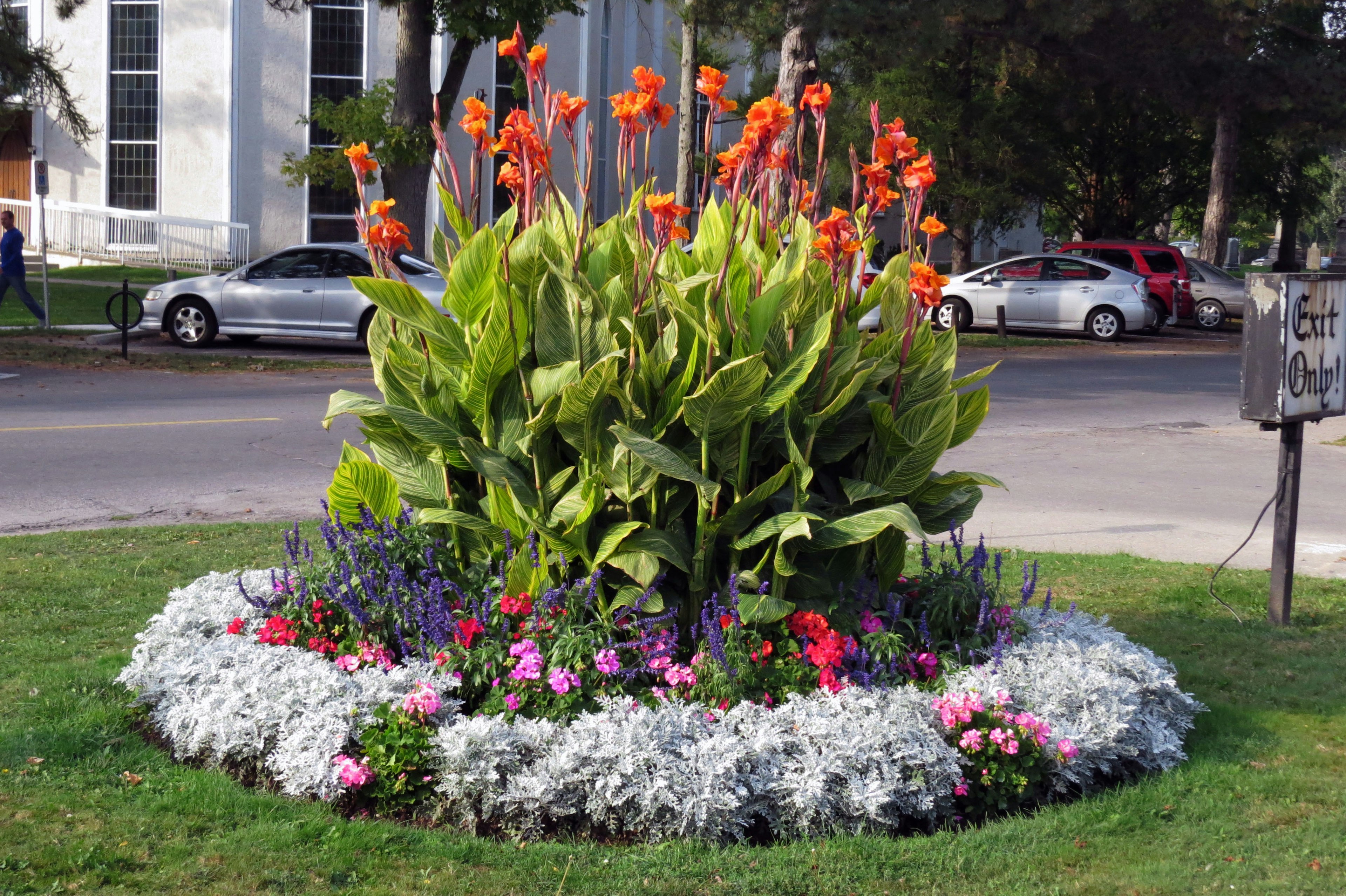 Un vibrante parterre de flores con altas flores naranjas rodeadas de coloridas flores y vegetación exuberante