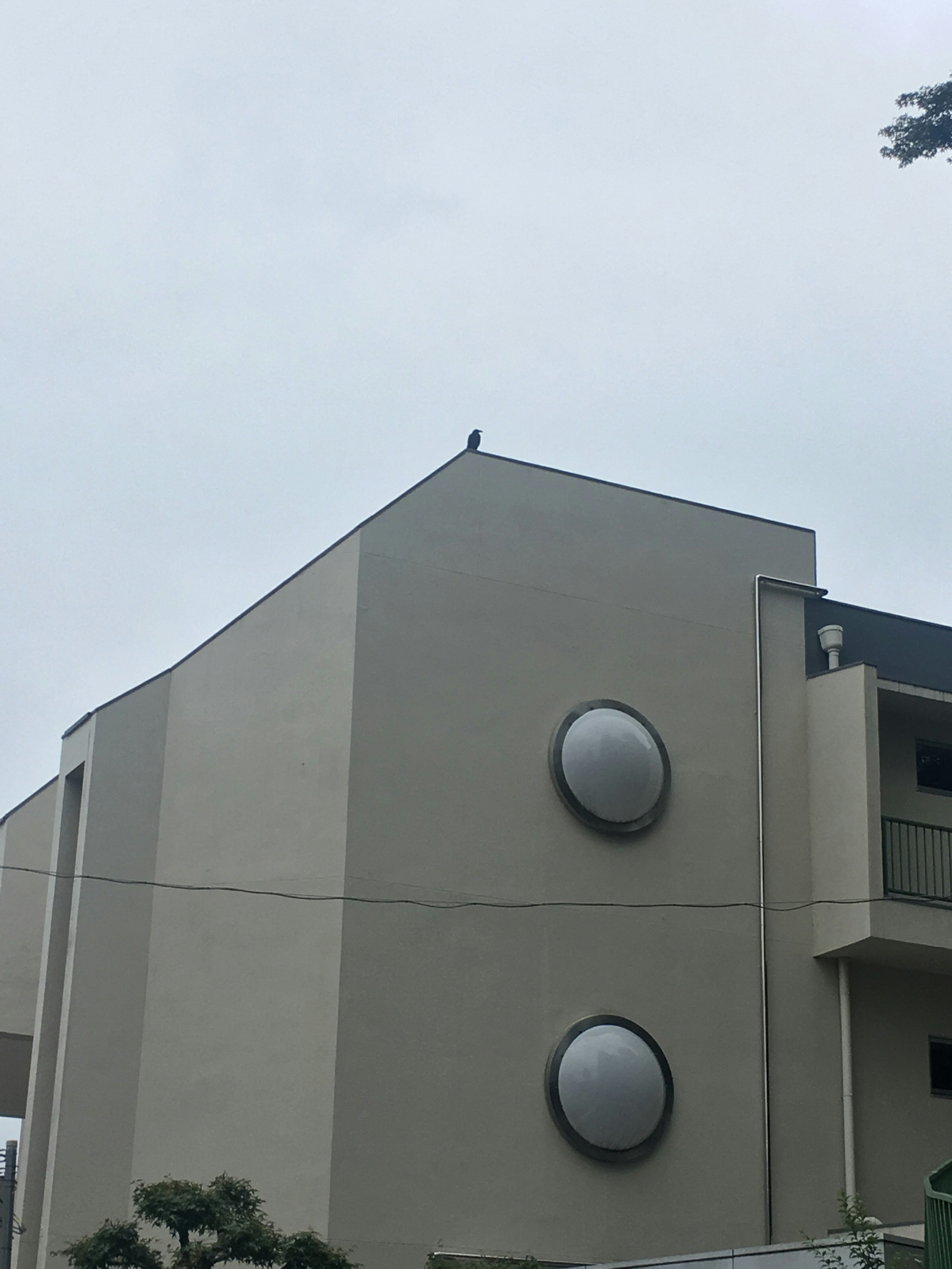 Un pequeño pájaro en el techo de un edificio gris con ventanas redondas