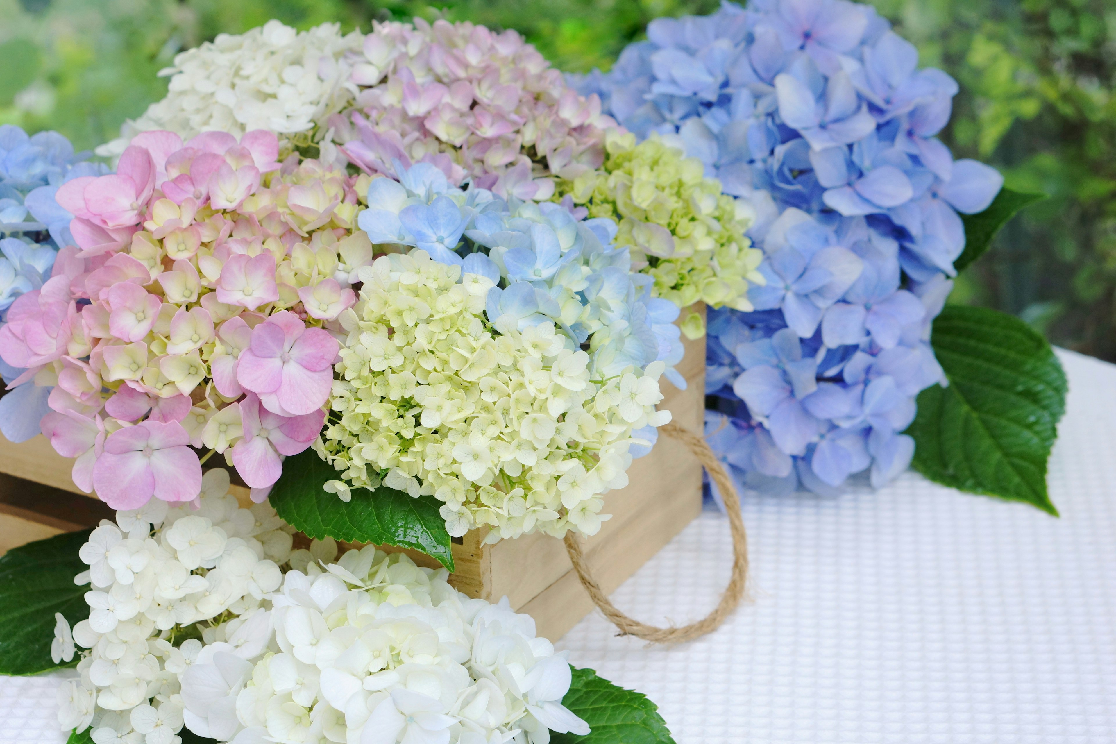 Un ramo colorido de hortensias en una cesta