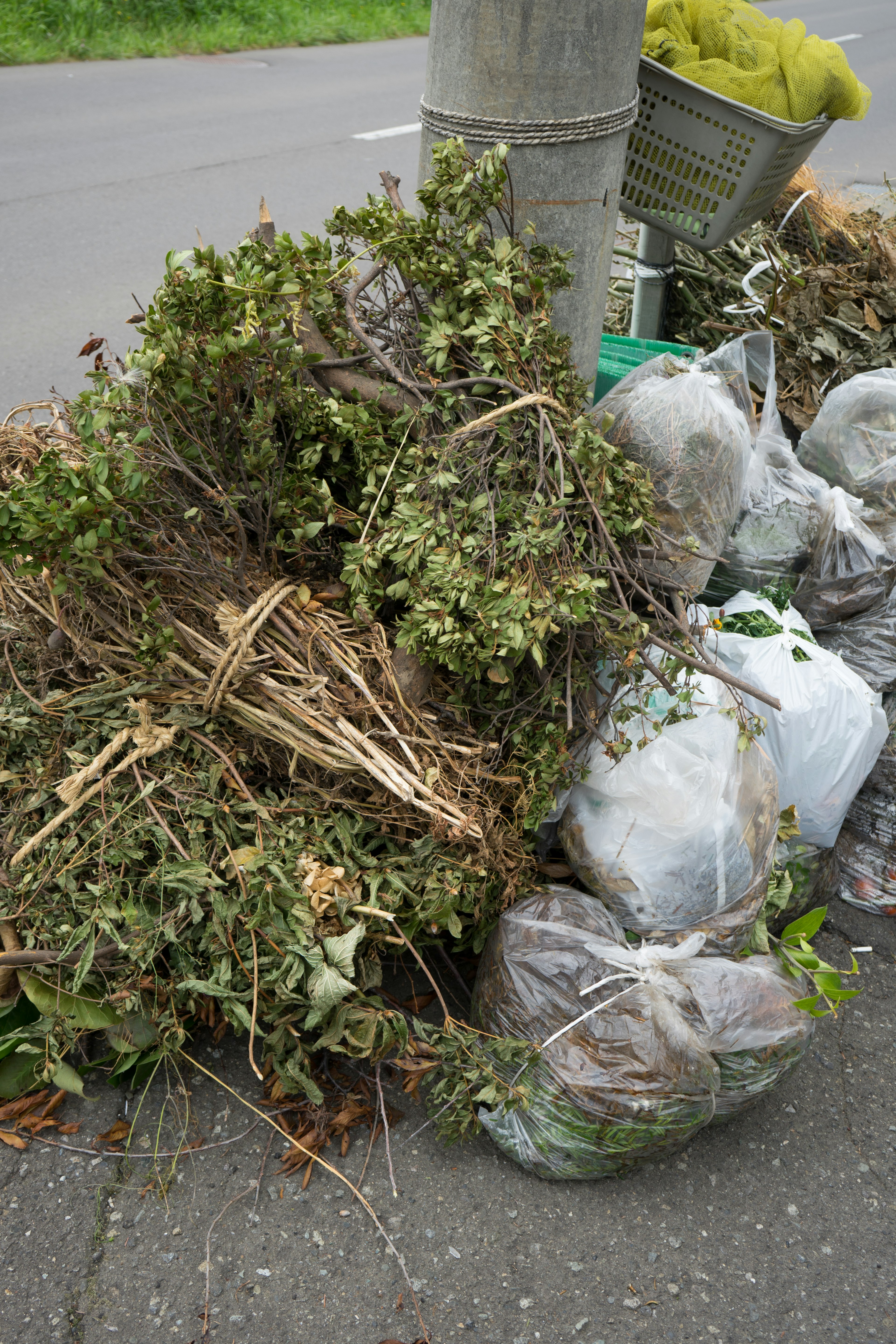 Mucchi di sacchi della spazzatura e detriti vegetali lungo la strada