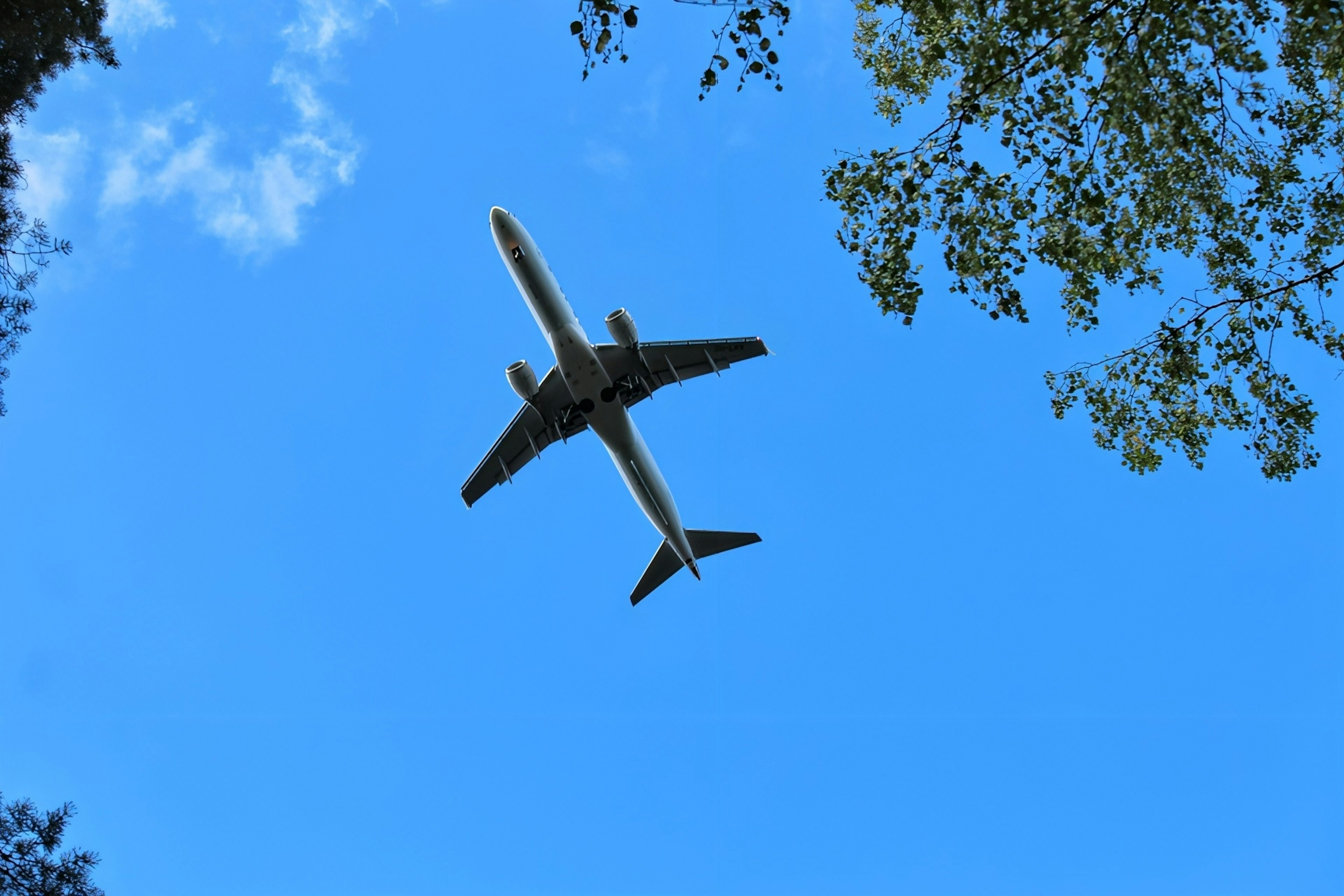 Airplane flying in a clear blue sky viewed from below surrounded by trees