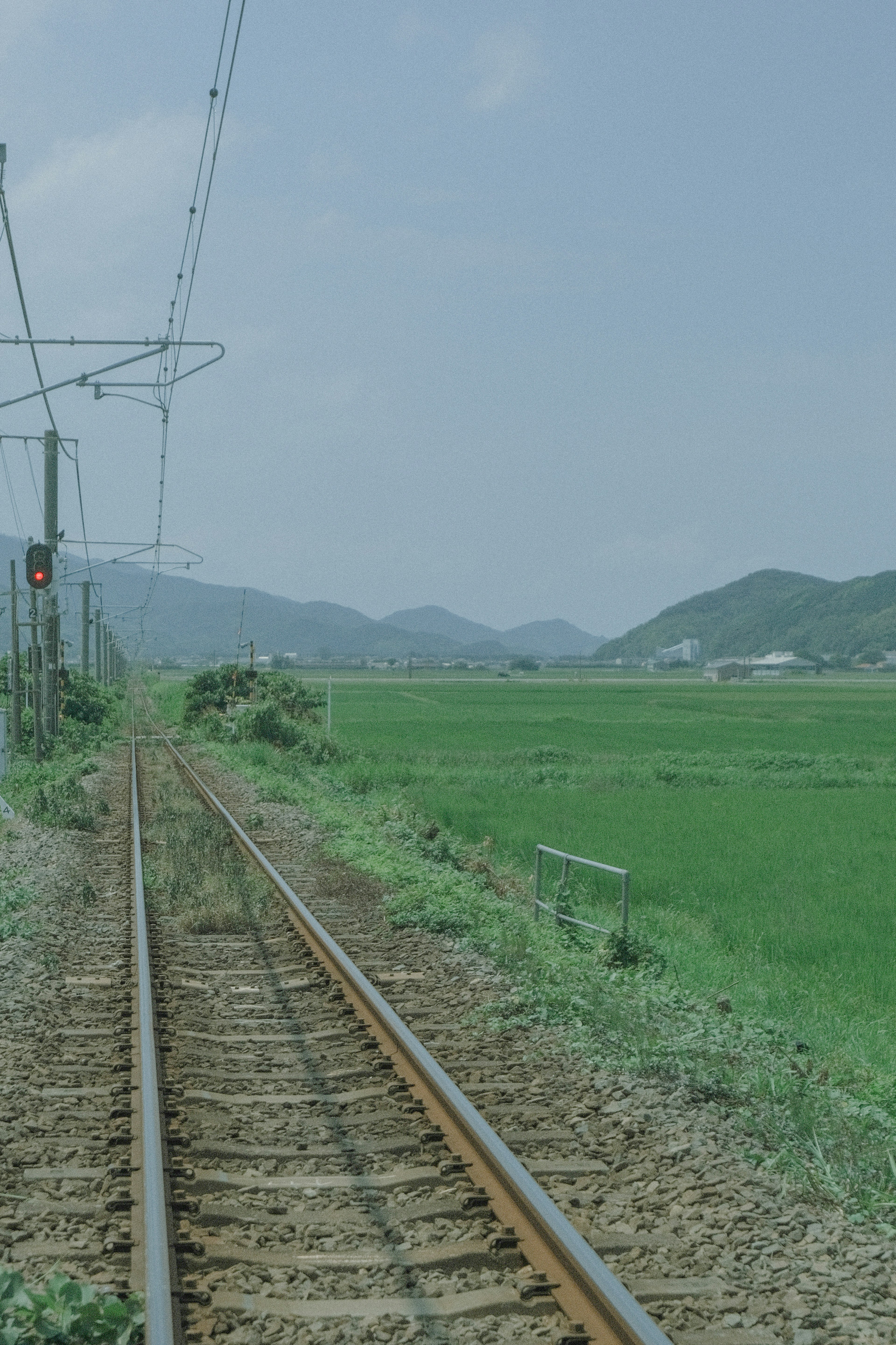 緑の田んぼと鉄道が広がる風景 薄曇りの空と山々が背景