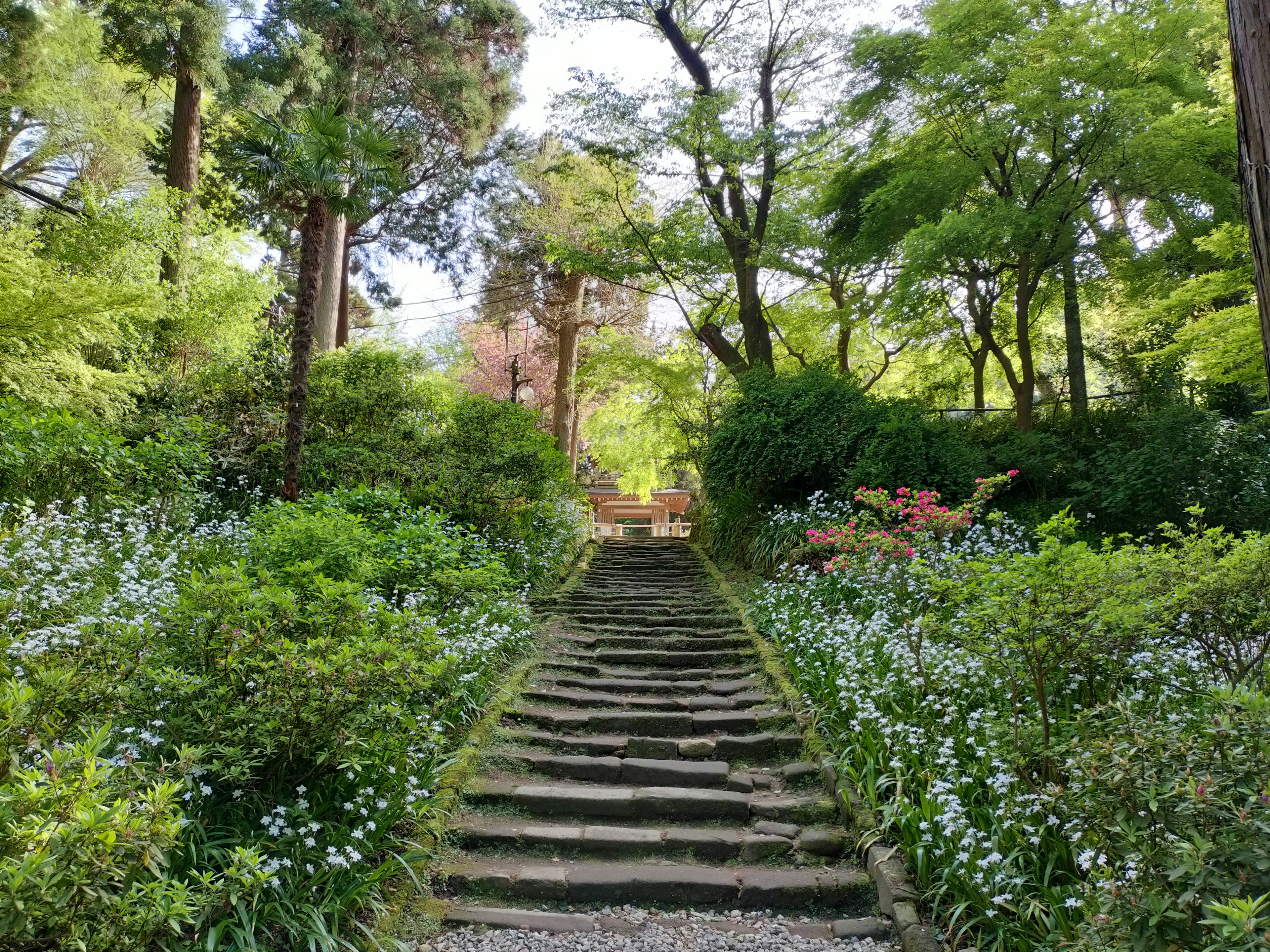 緑豊かな庭園の中にある石の階段と花々