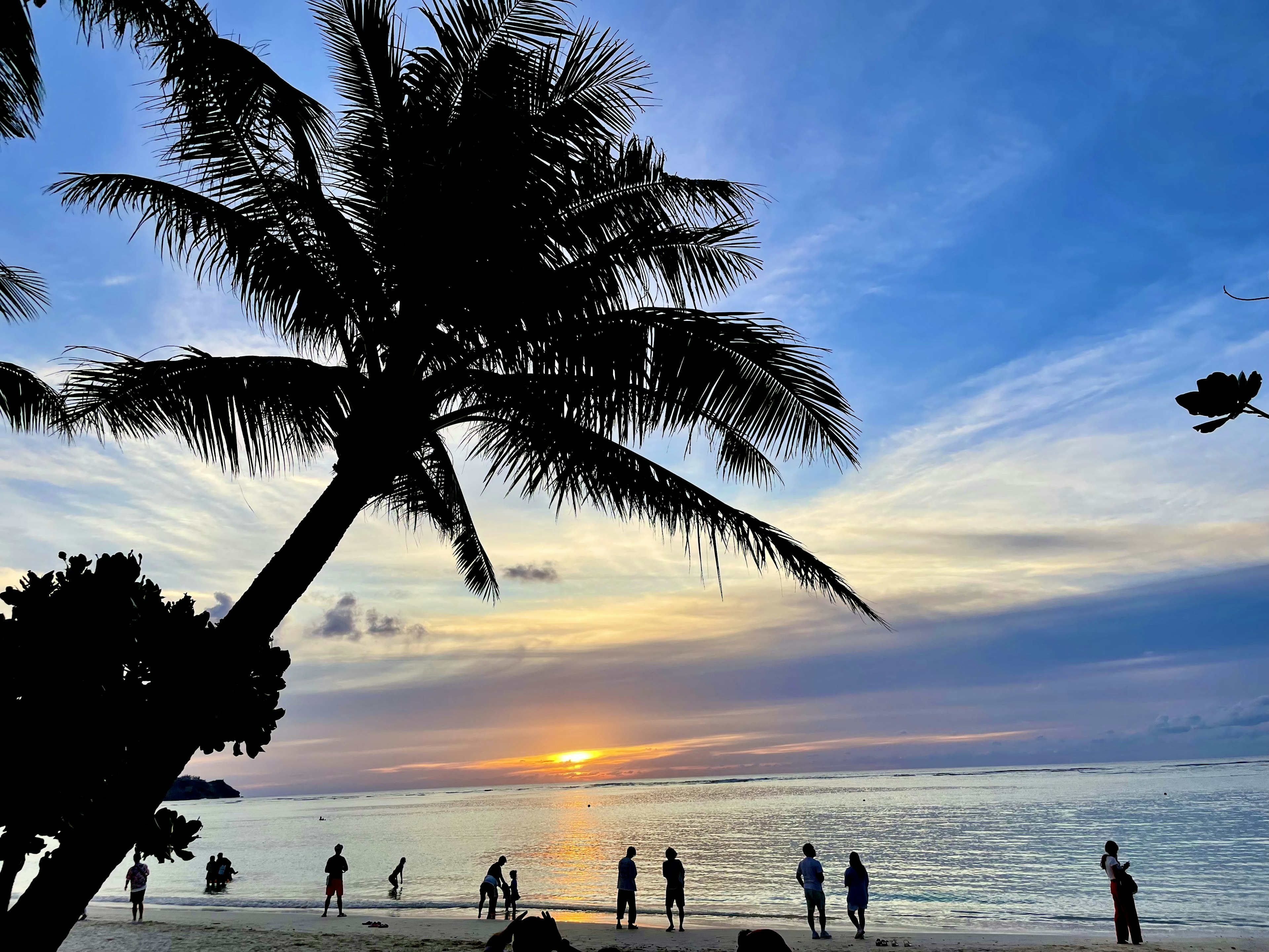 Silueta de personas disfrutando de la playa al atardecer con palmeras