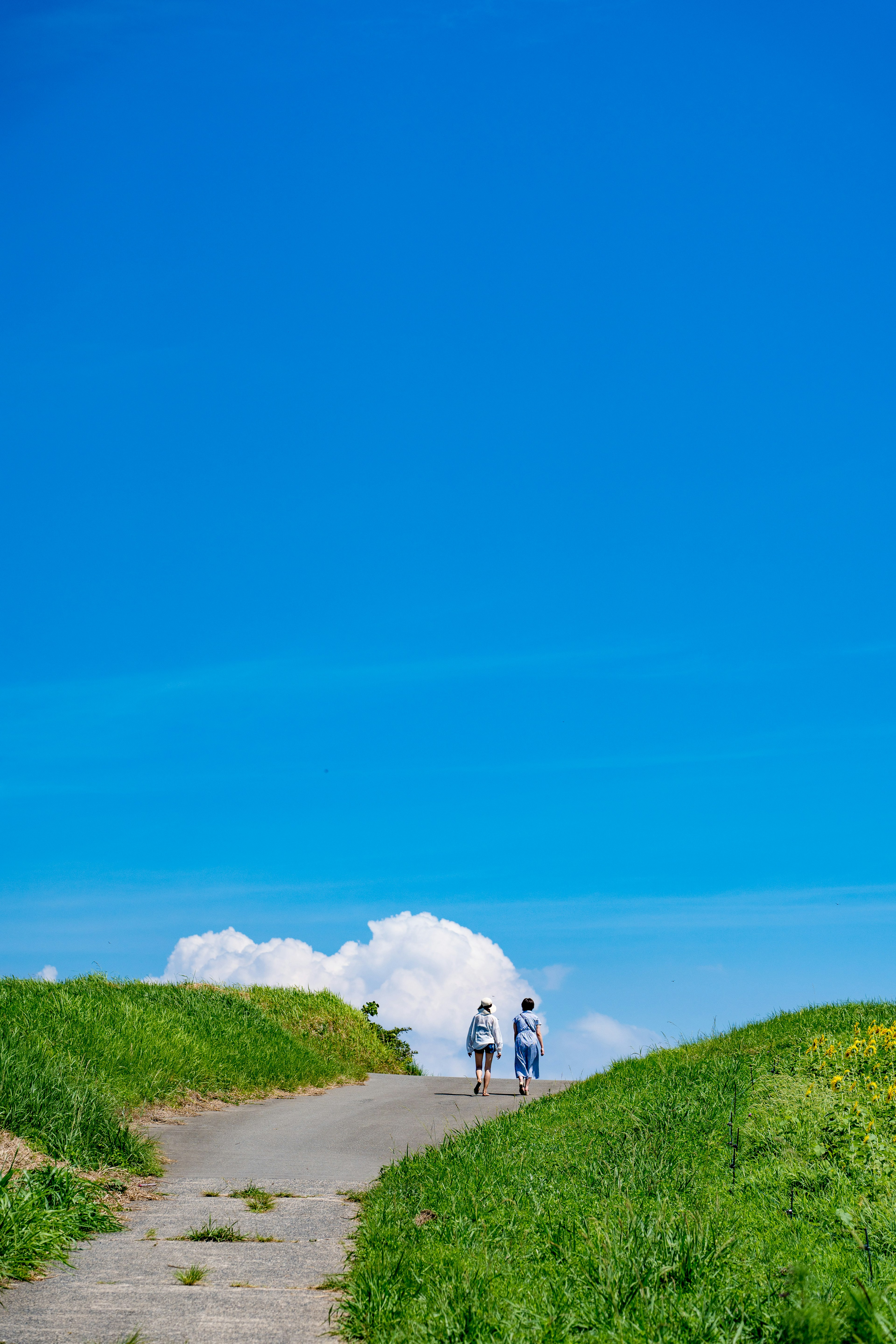 青空の下を歩く二人の人物と緑の草地