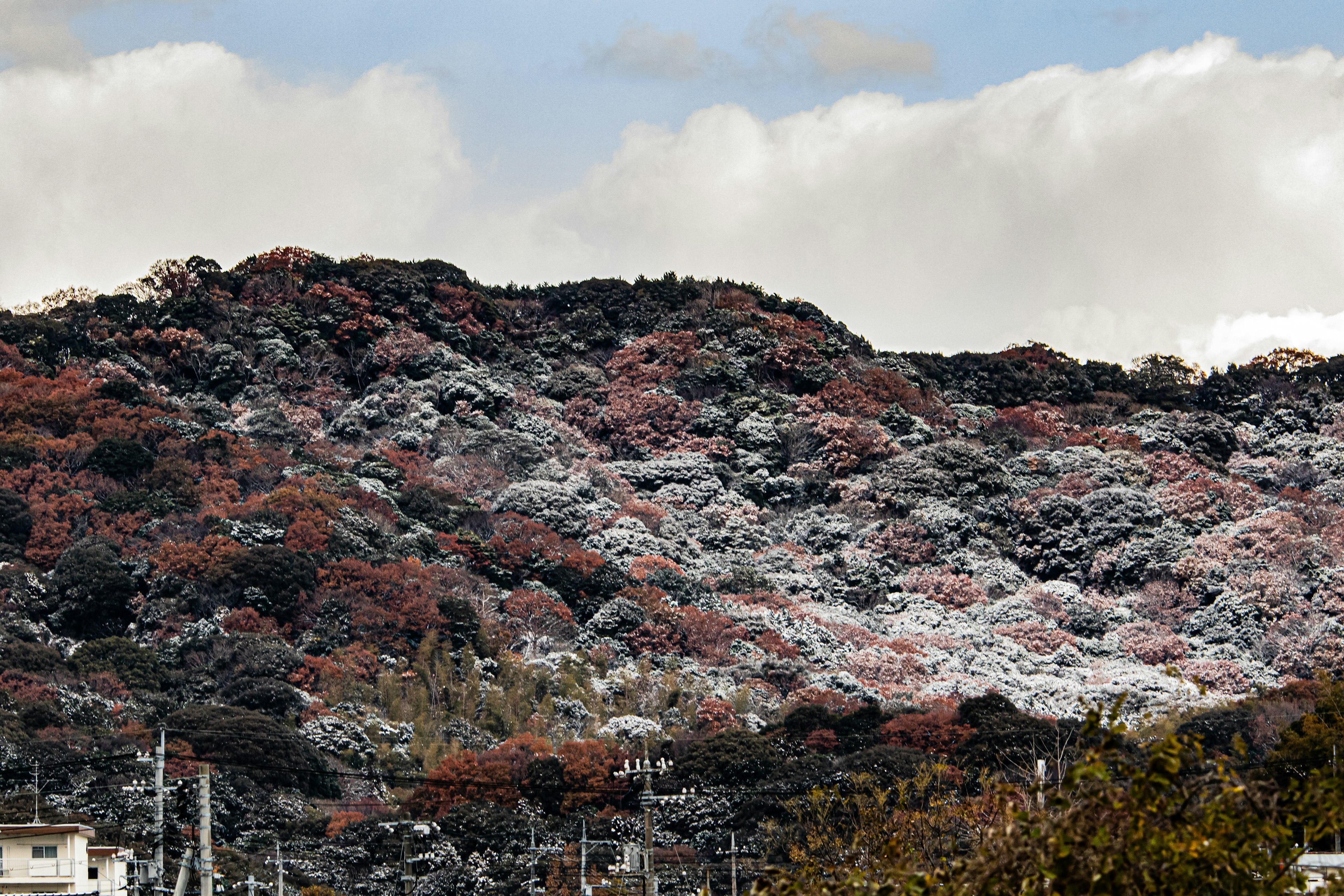 Montagne couverte de neige avec un feuillage rouge contrastant