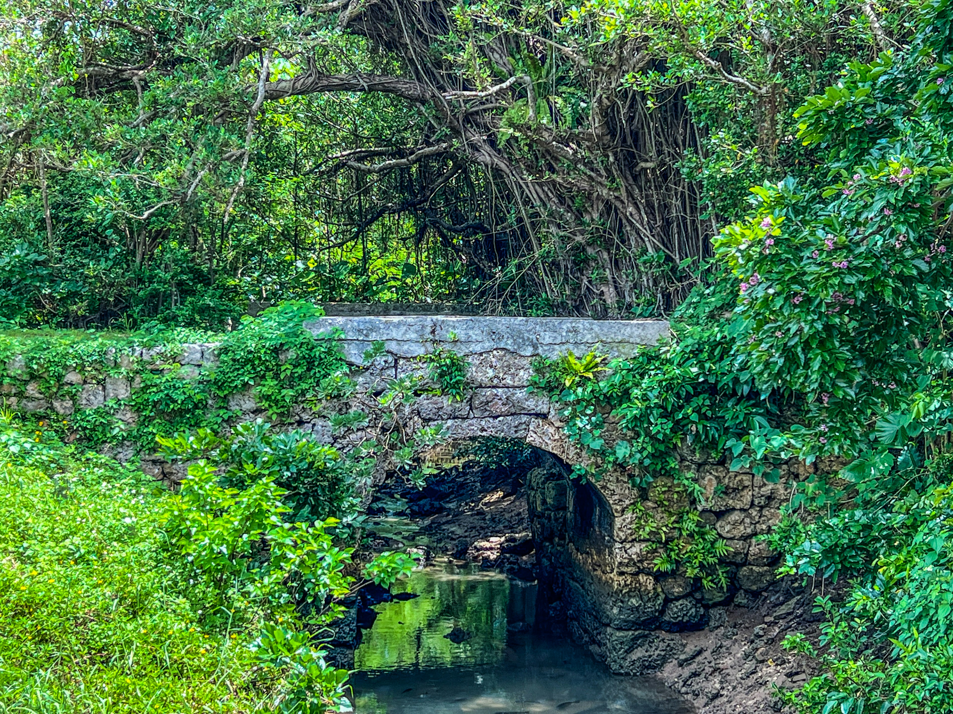 Alter Steinbogen unter umgebender üppiger Vegetation und fließendem Wasser