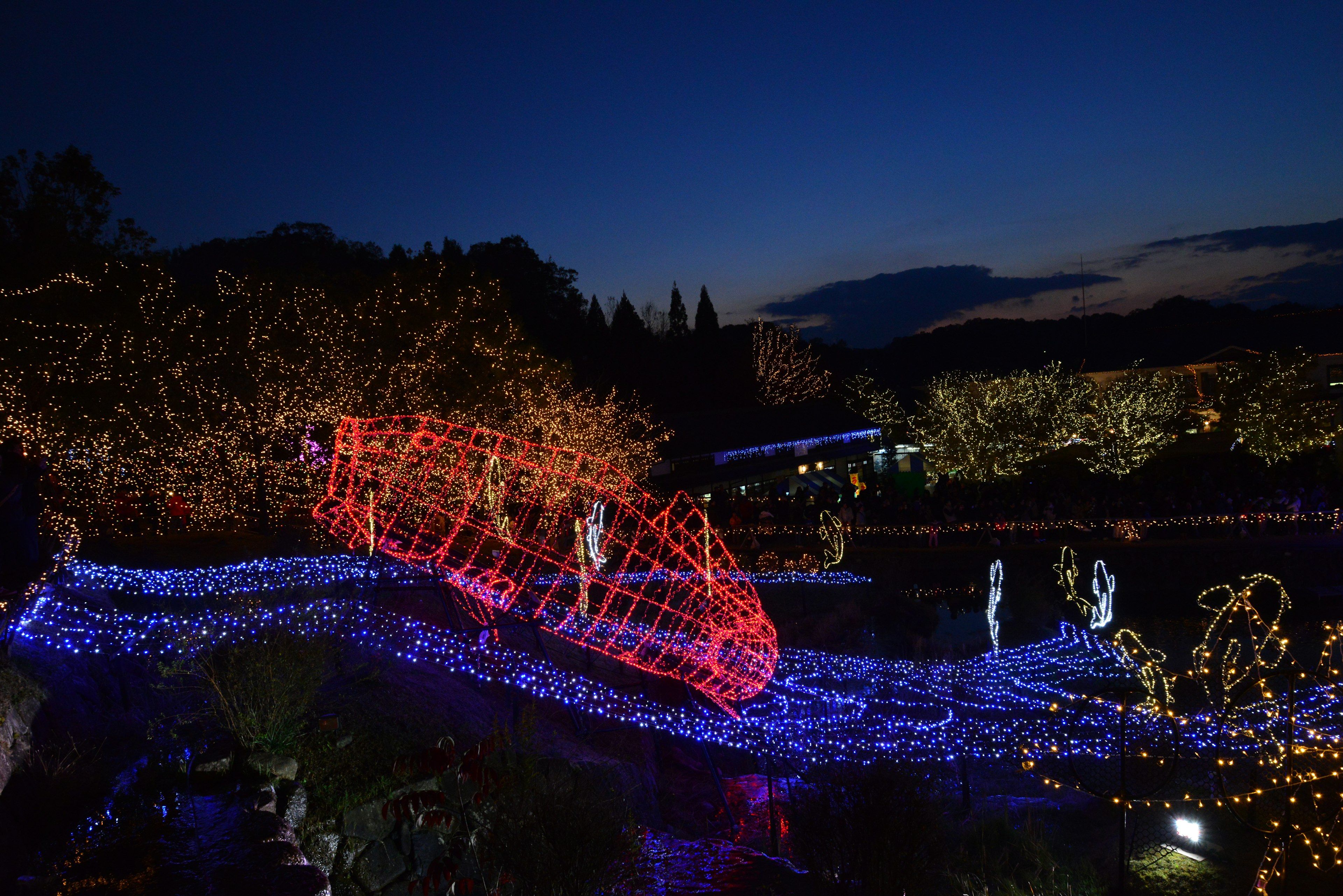 夜景の中に色とりどりのイルミネーションと幻想的な景観が広がる