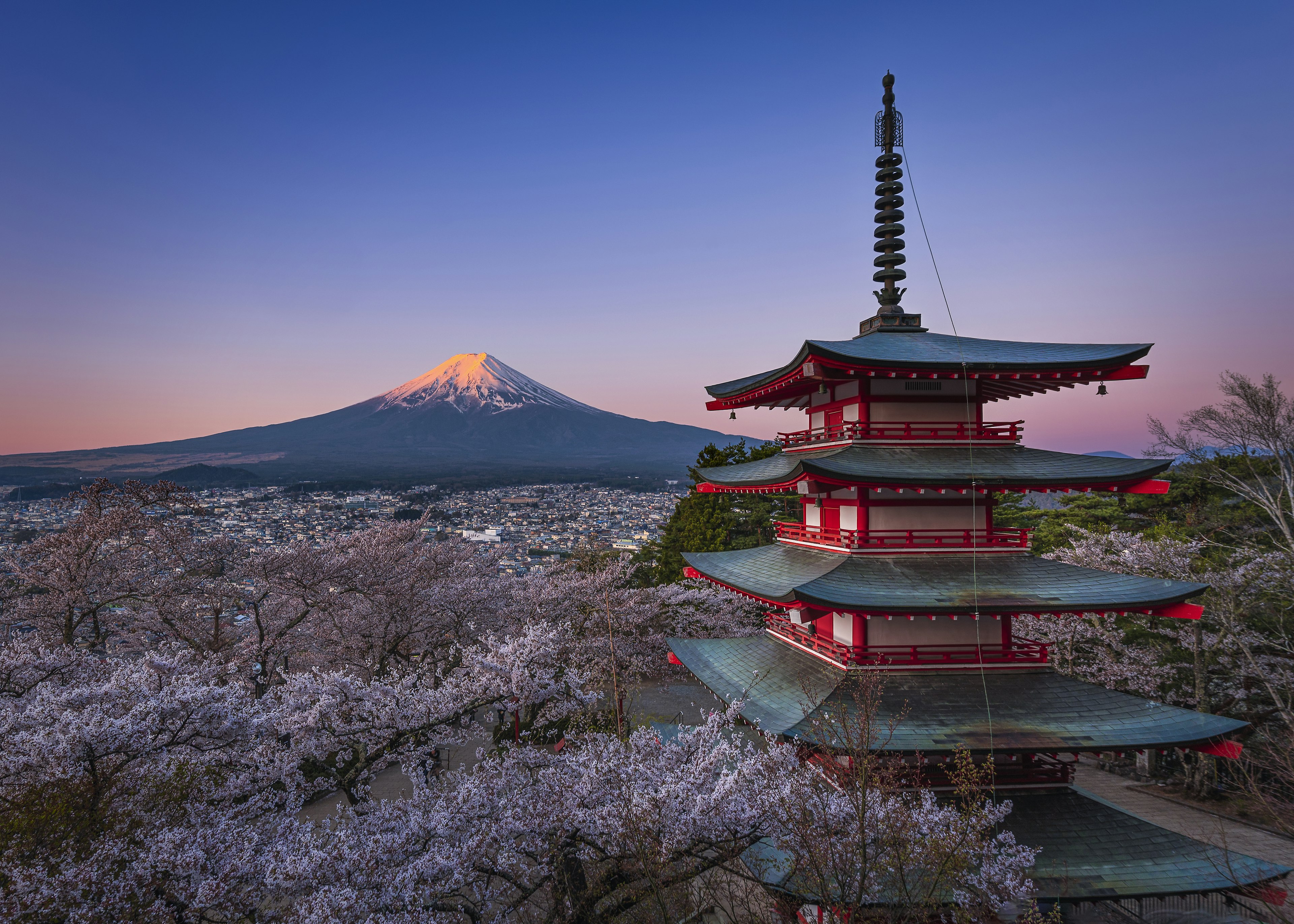 Pemandangan pagoda dengan bunga sakura dan Gunung Fuji di latar belakang