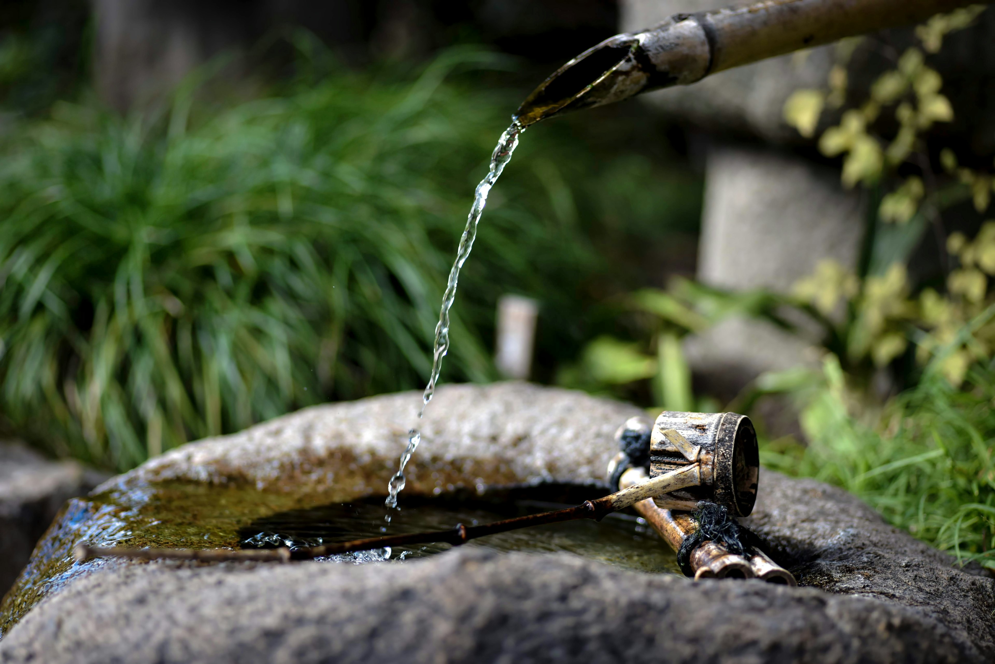 Bamboo water spout pouring into a stone basin surrounded by greenery