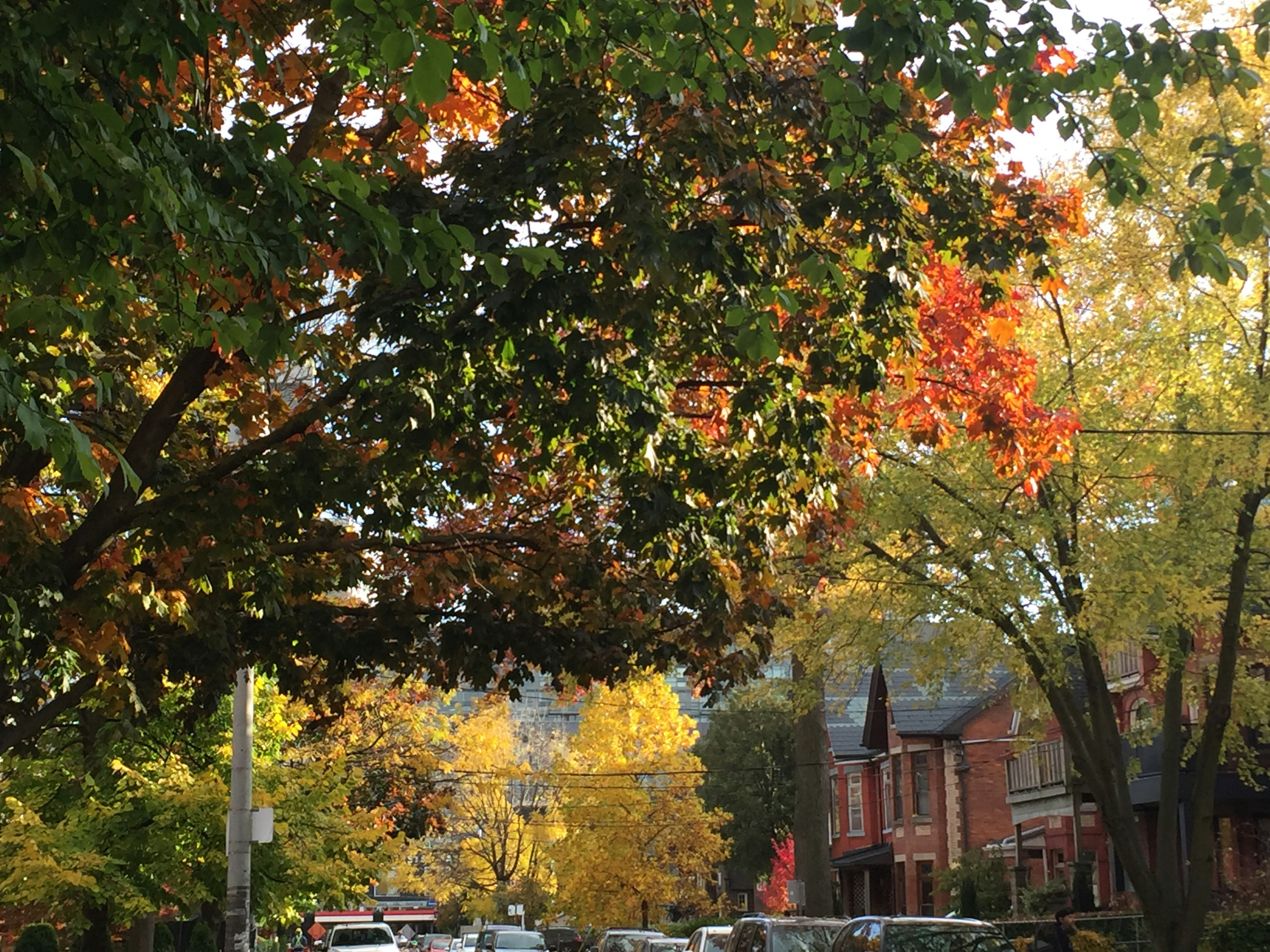 Street scene with vibrant autumn foliage and historic houses