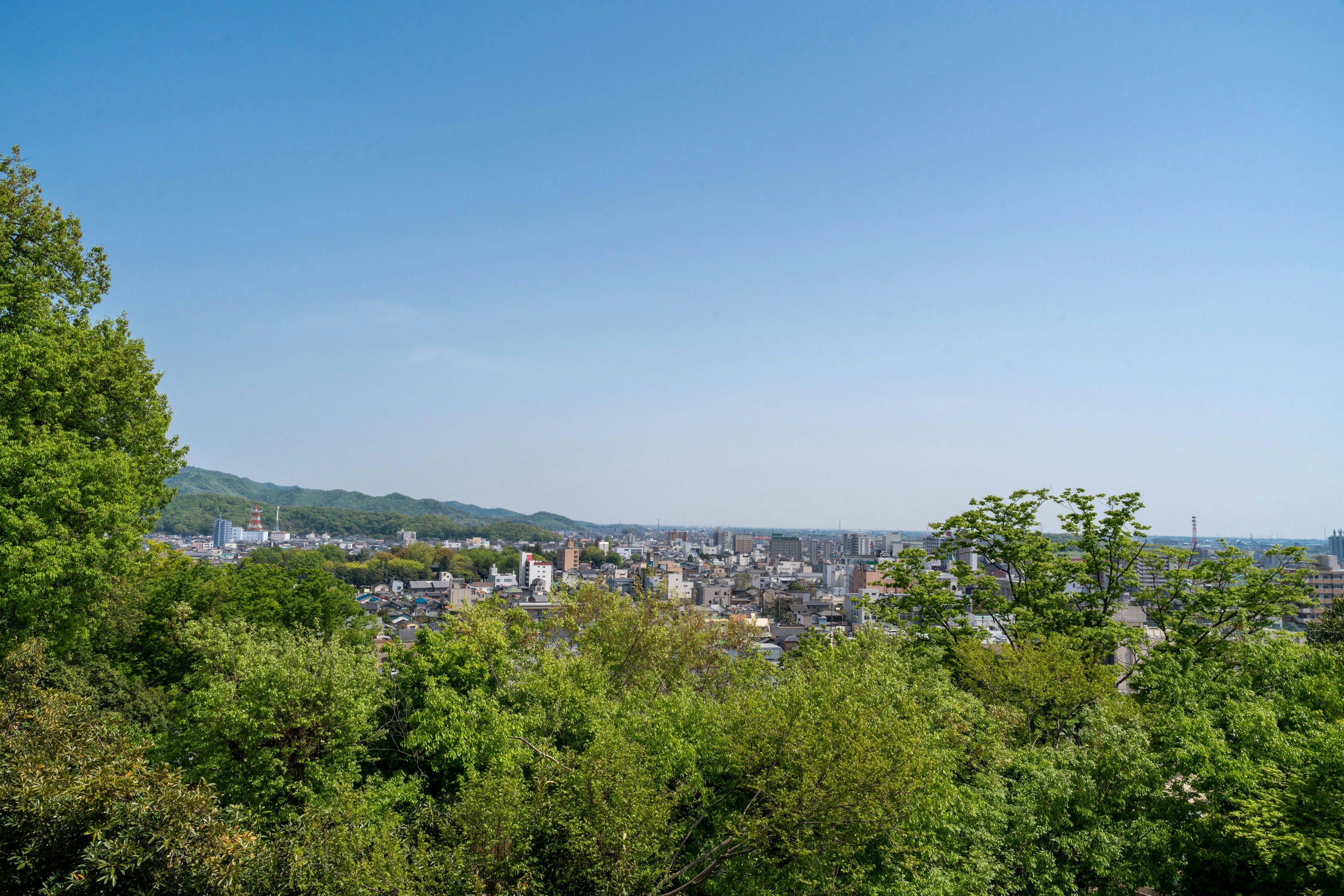 Lush green landscape with a city view under a blue sky