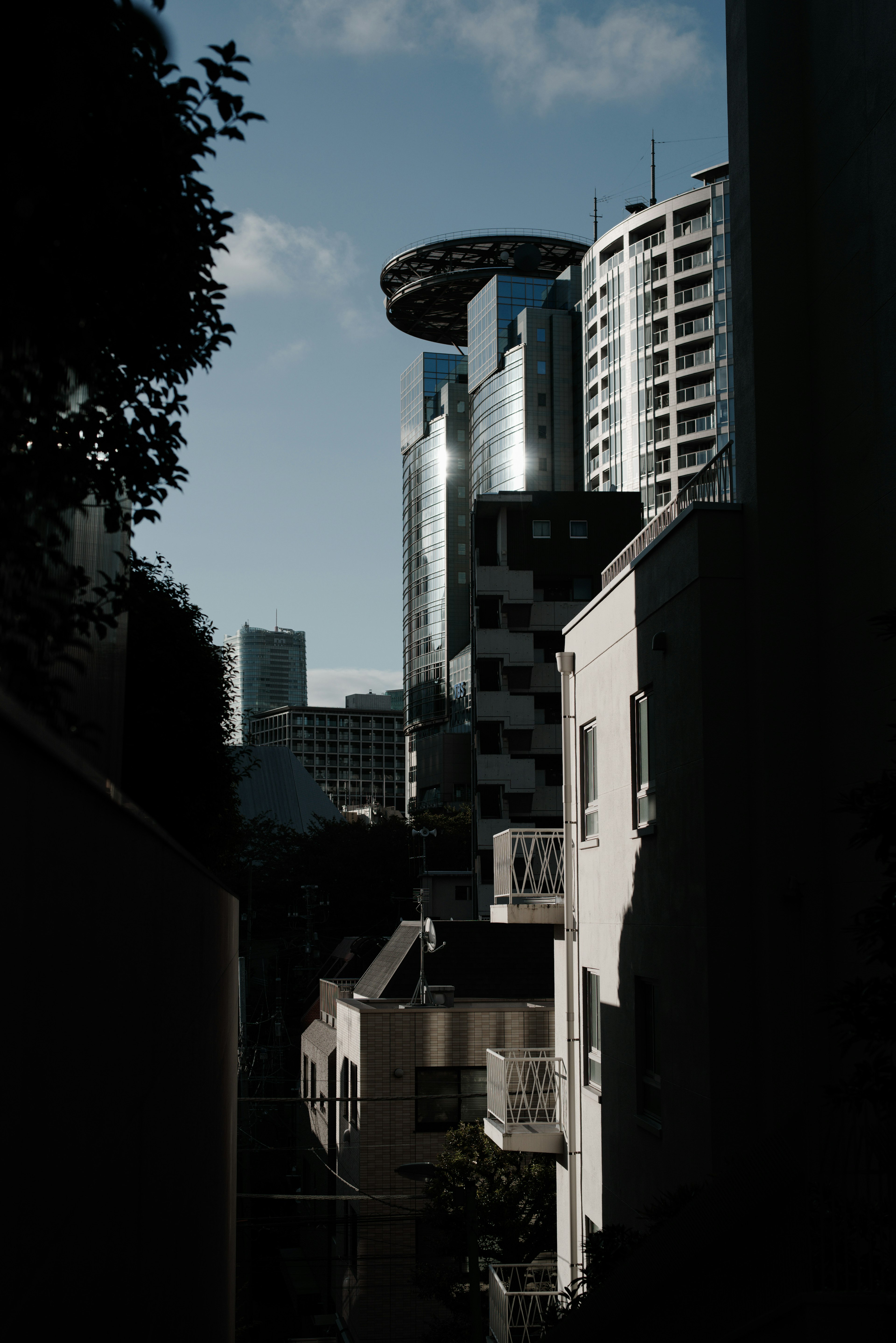 都市の風景に見える高層ビルと住宅のコントラスト