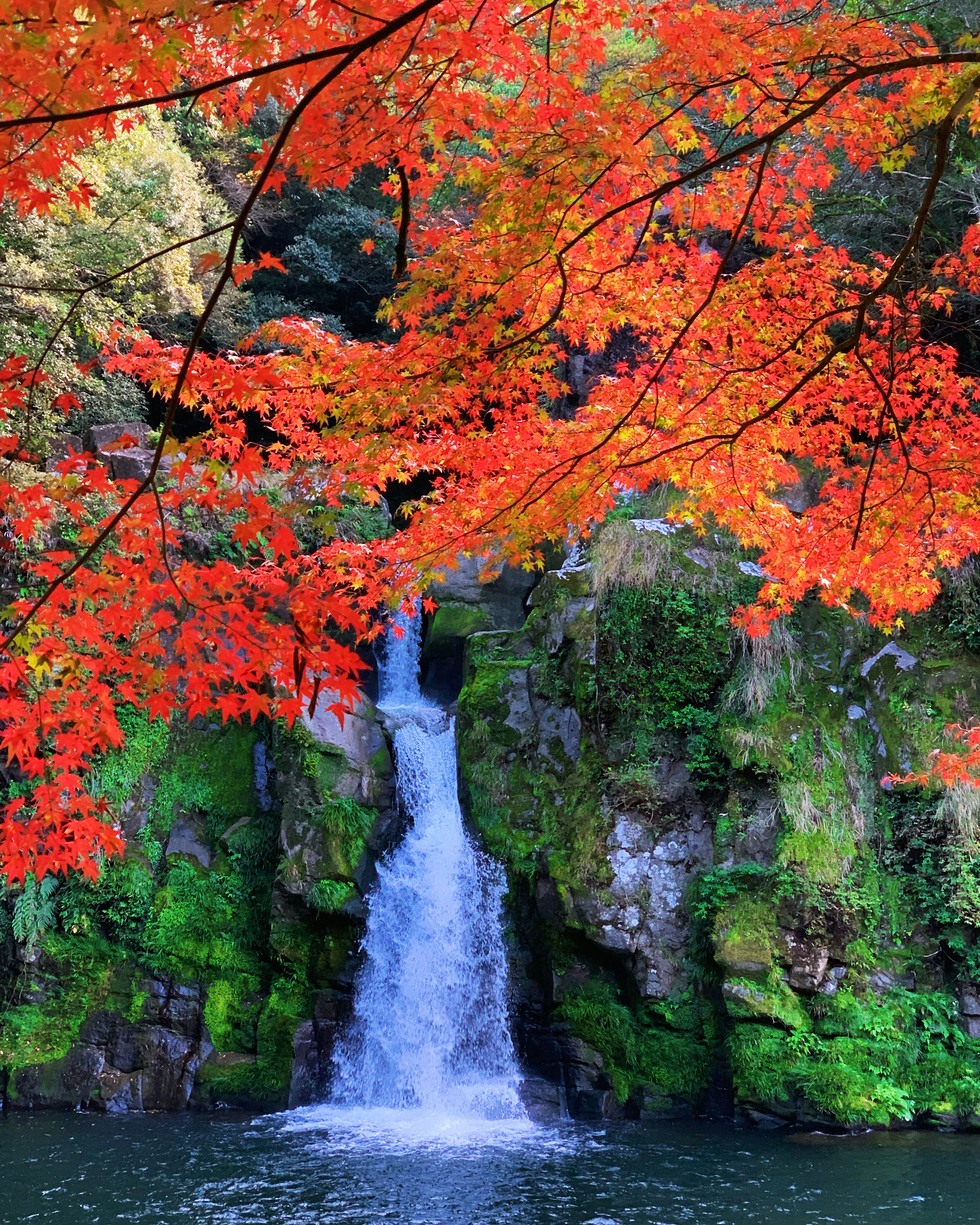 Malersicher Wasserfall umgeben von lebhaften Herbstblättern