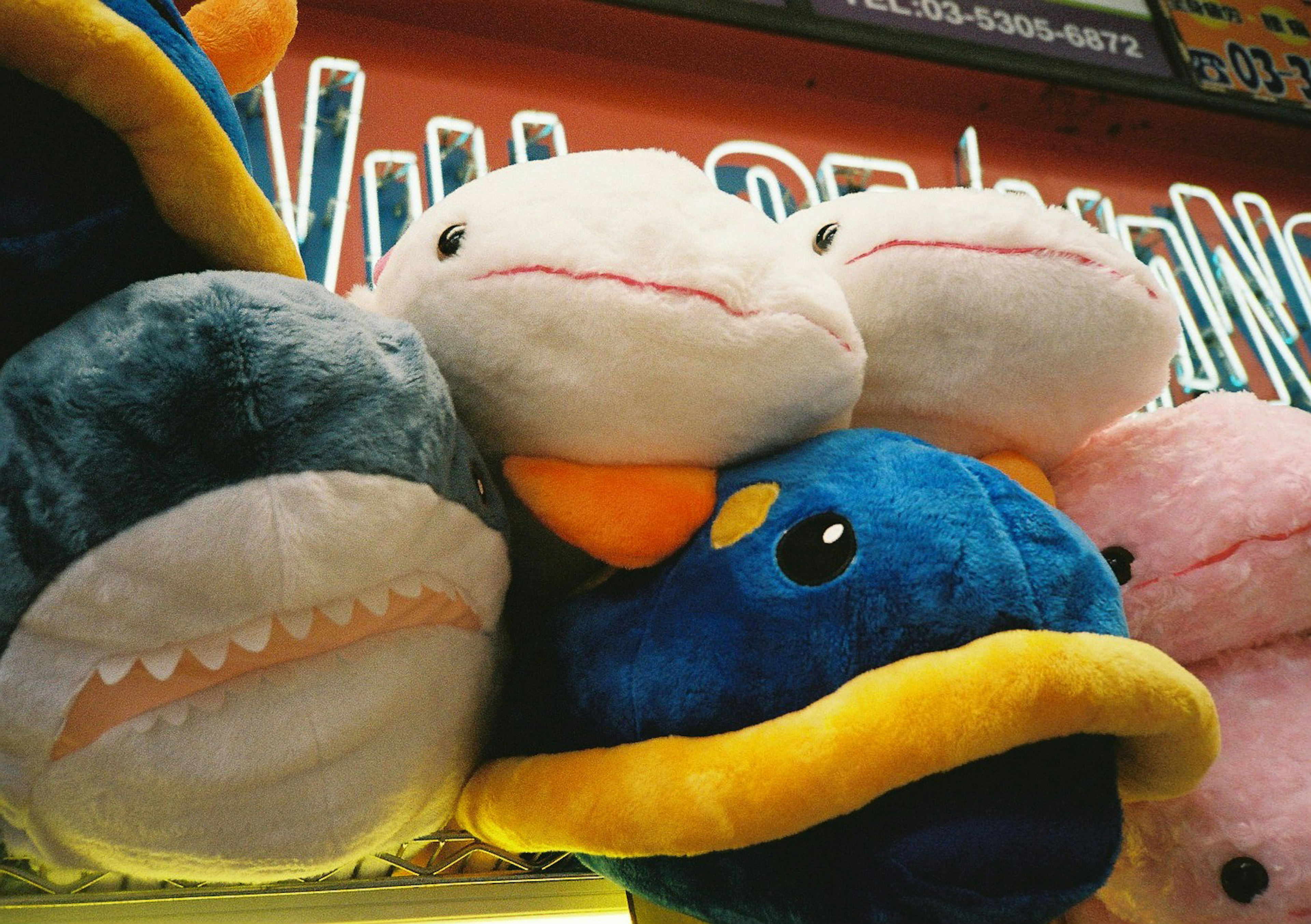 Colorful plush fish stacked together