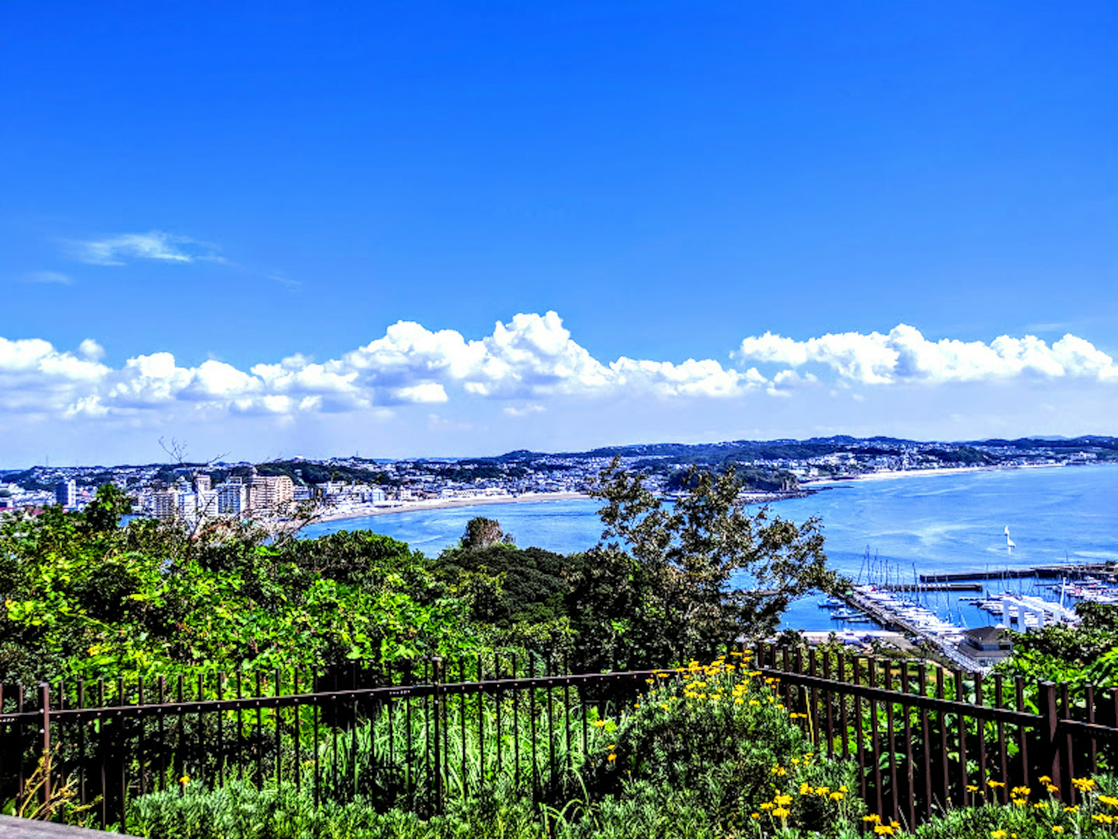 Coastal landscape with blue sky and white clouds lush greenery and a fence in the foreground