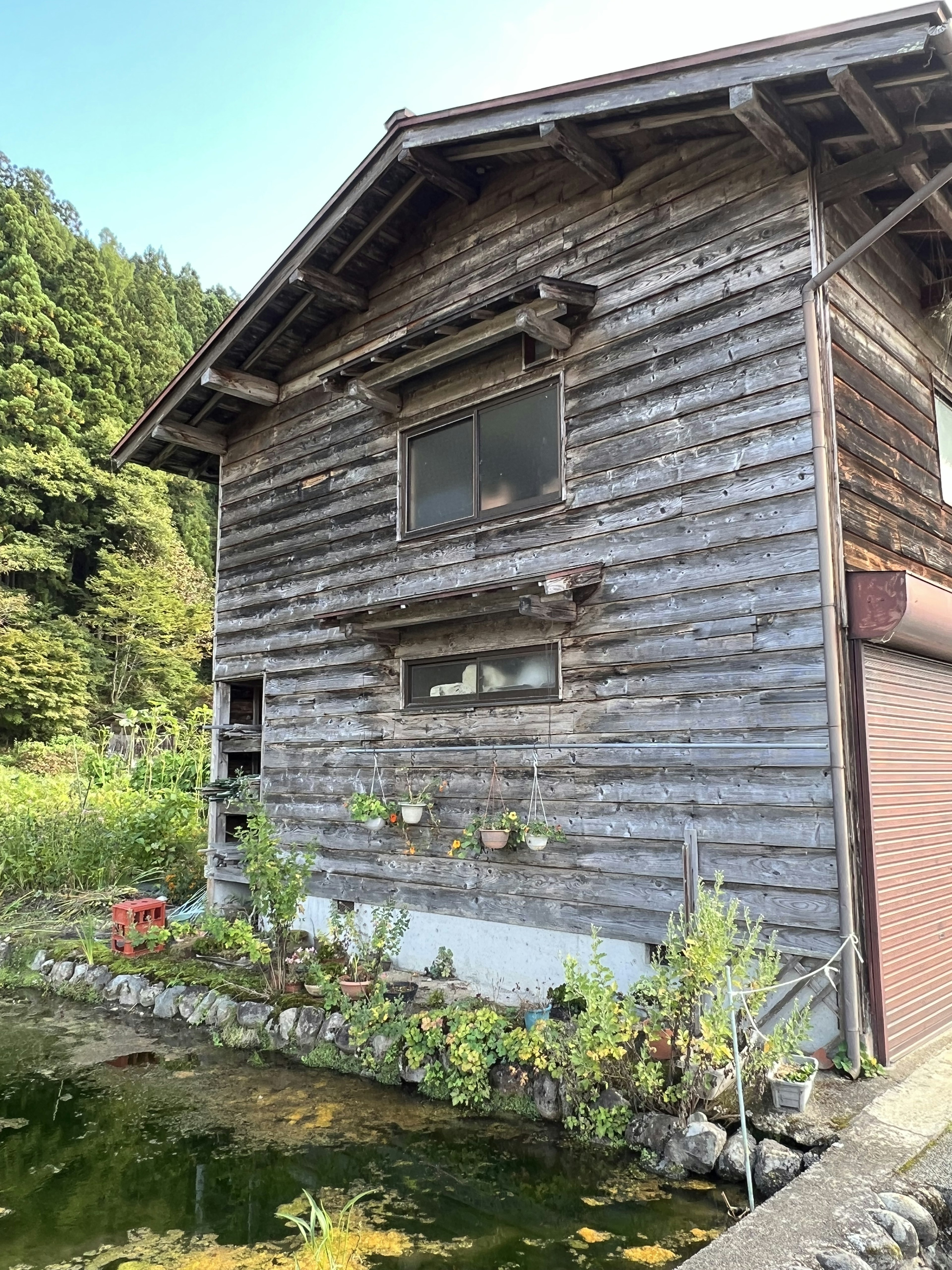 木屋的外观，带有绿色花园和池塘