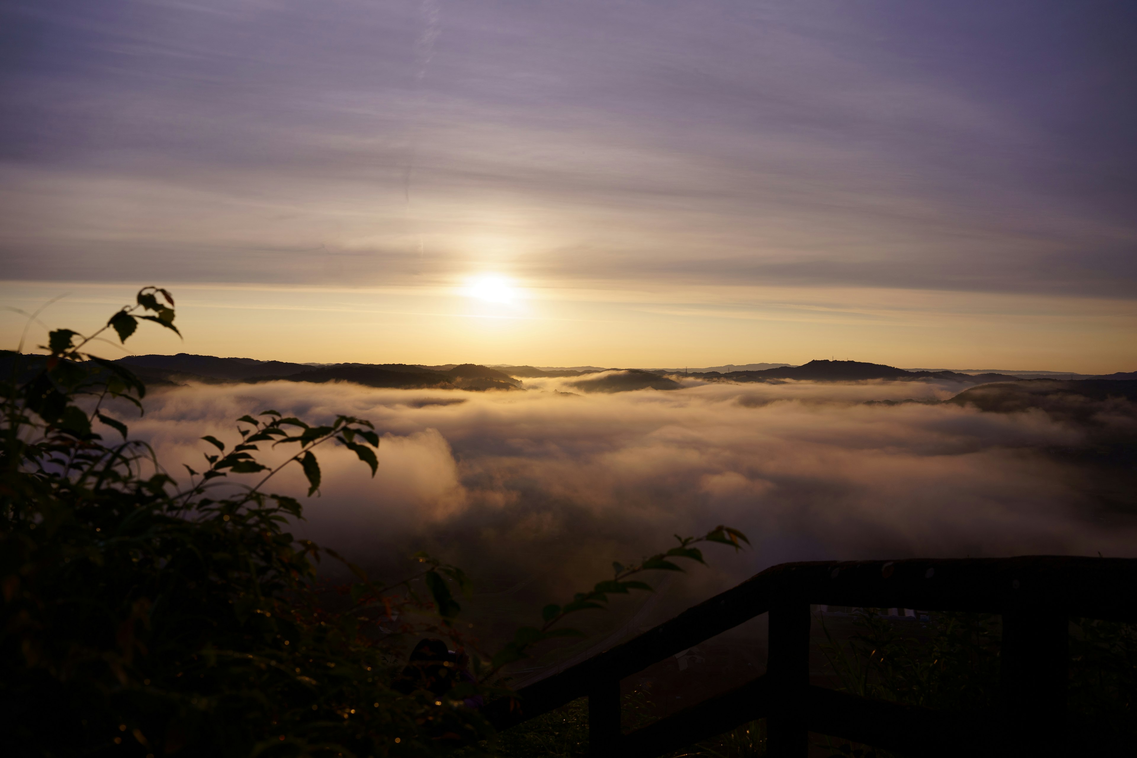 Paesaggio avvolto nella nebbia con alba e fogliame