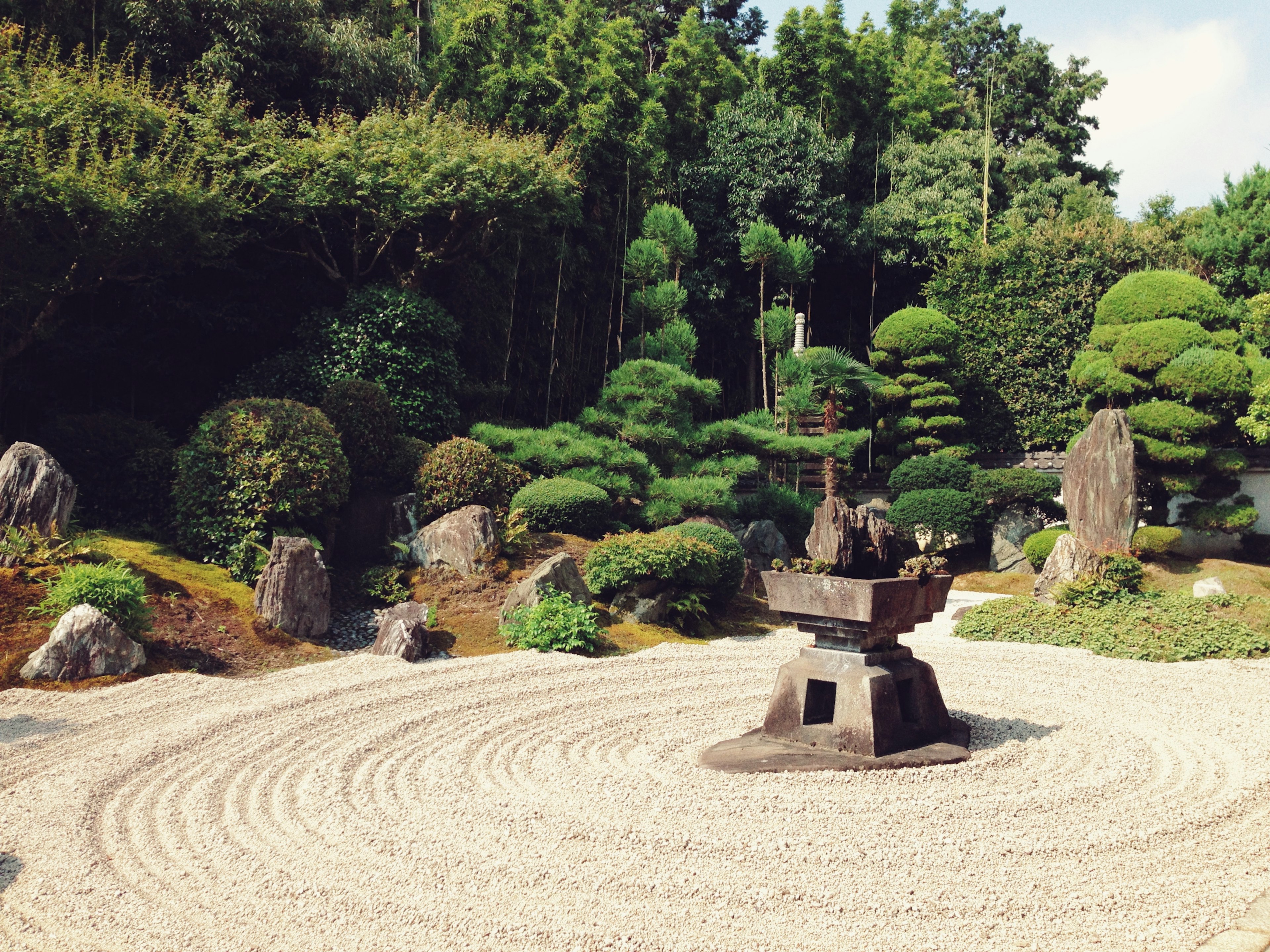 美麗的日本庭園場景，特色是郁郁蔥蔥的綠色植物和石頭排列