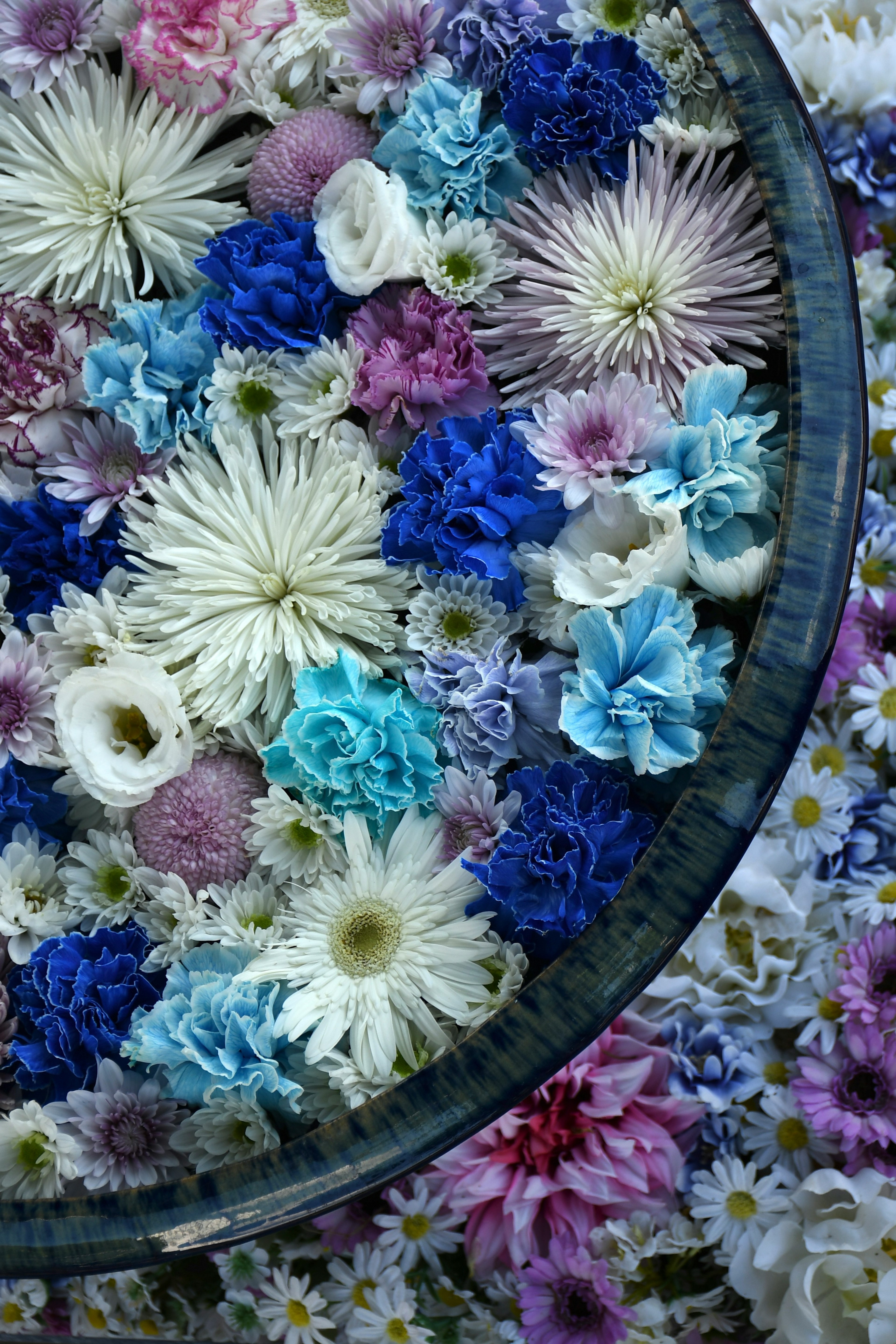 Vue aérienne d'un bol rempli de fleurs flottantes colorées